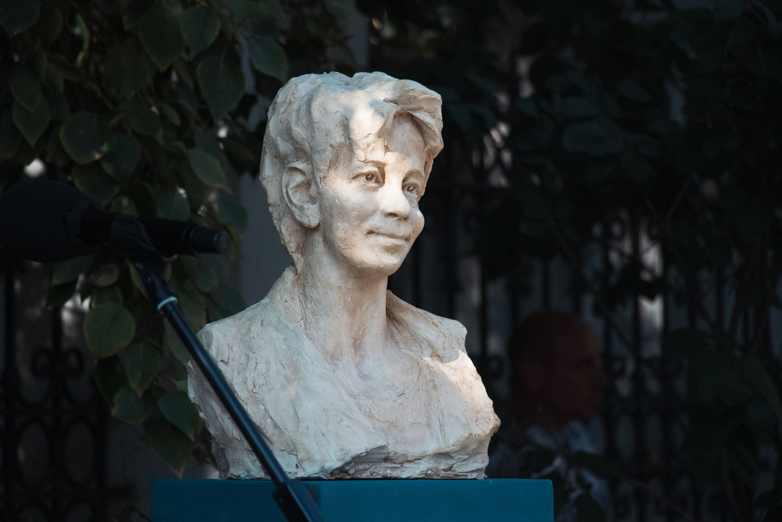 Репортаж с открытия памятника Доктору Лизе. Фотограф Алекс Беранже