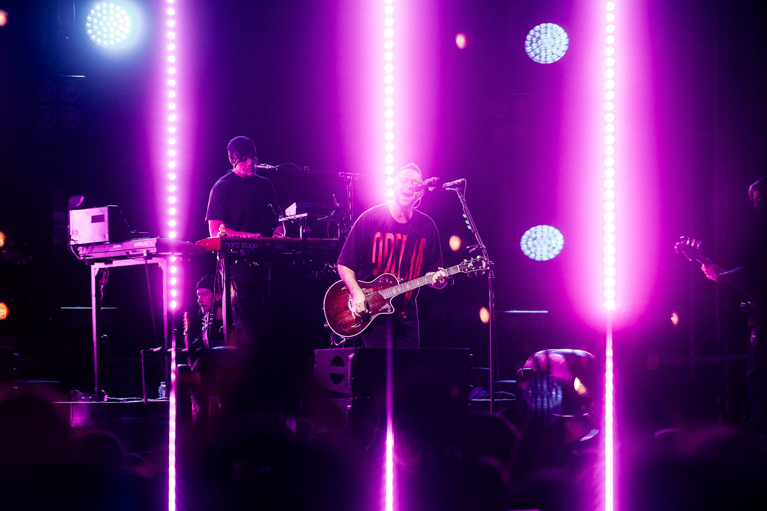 Звери 2025. Репортажный фотограф в Кемерово