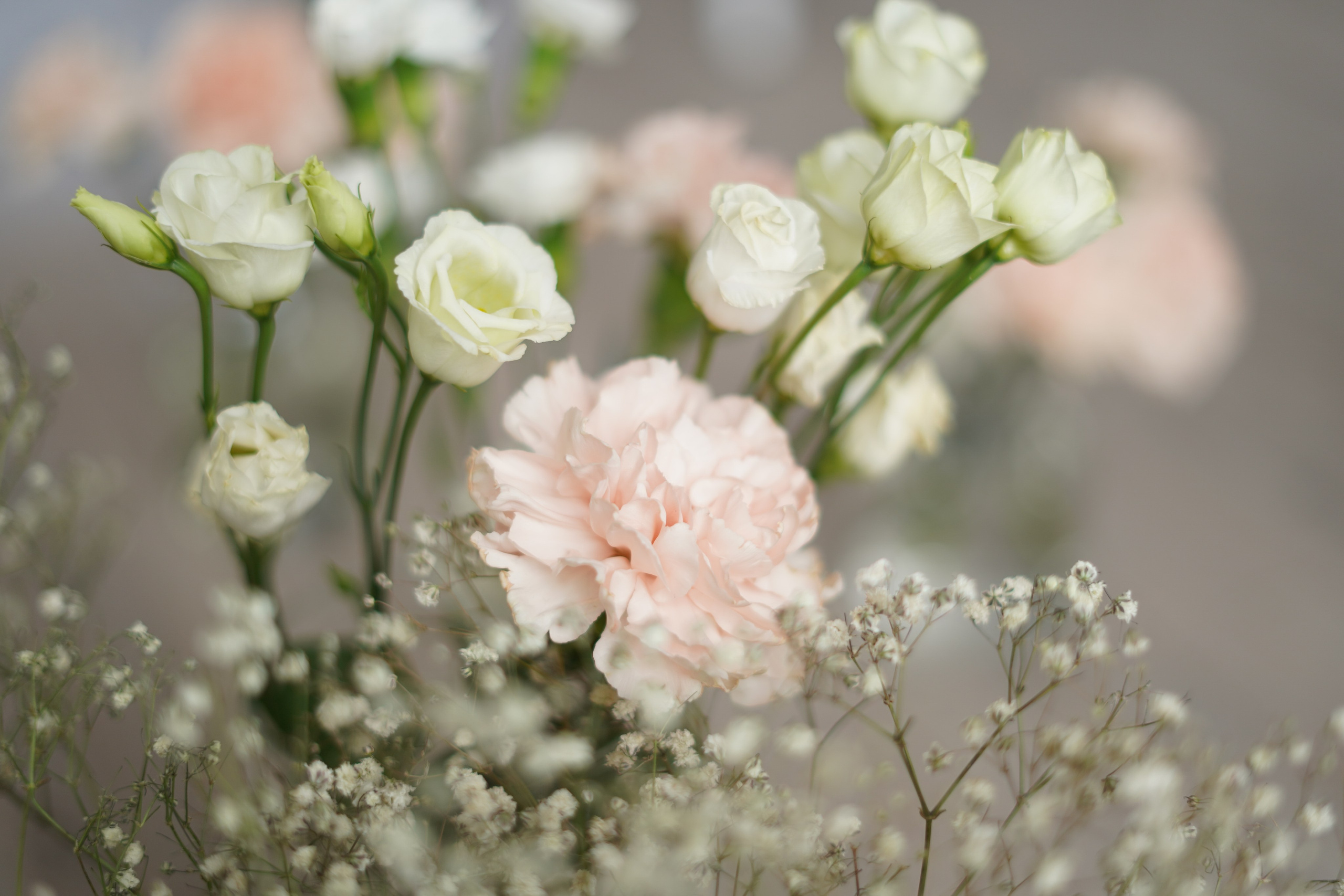 Цветочное настроение. Фотограф Татьяна Митрофанова