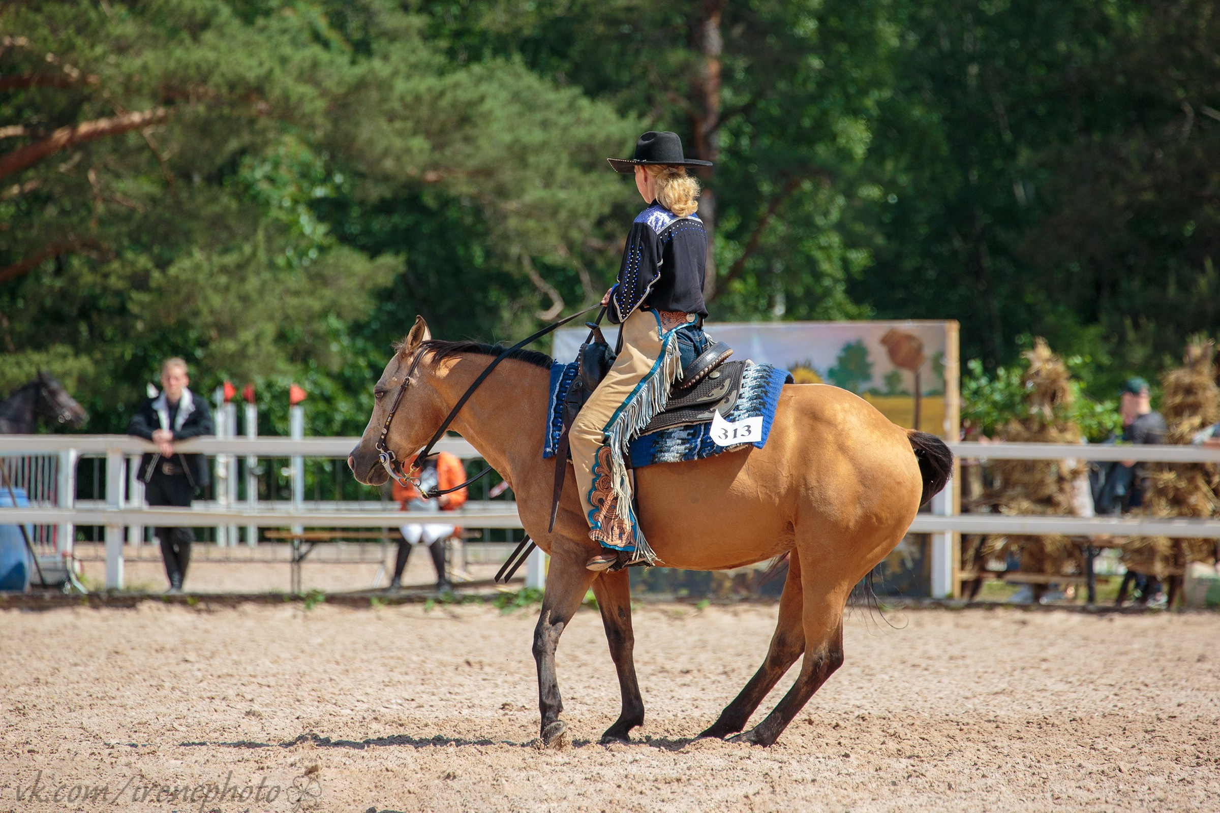 Иппосфера 2024. Irenephoto.ru