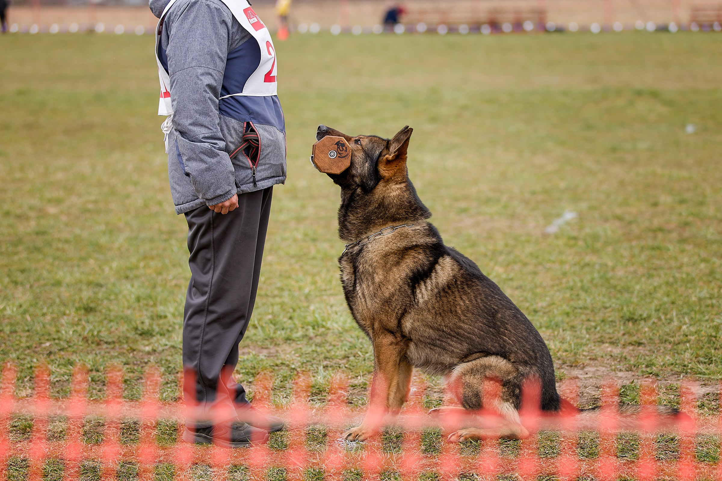 Чемпионат СЗФО по IGP 1 — 3. Irenephoto.ru