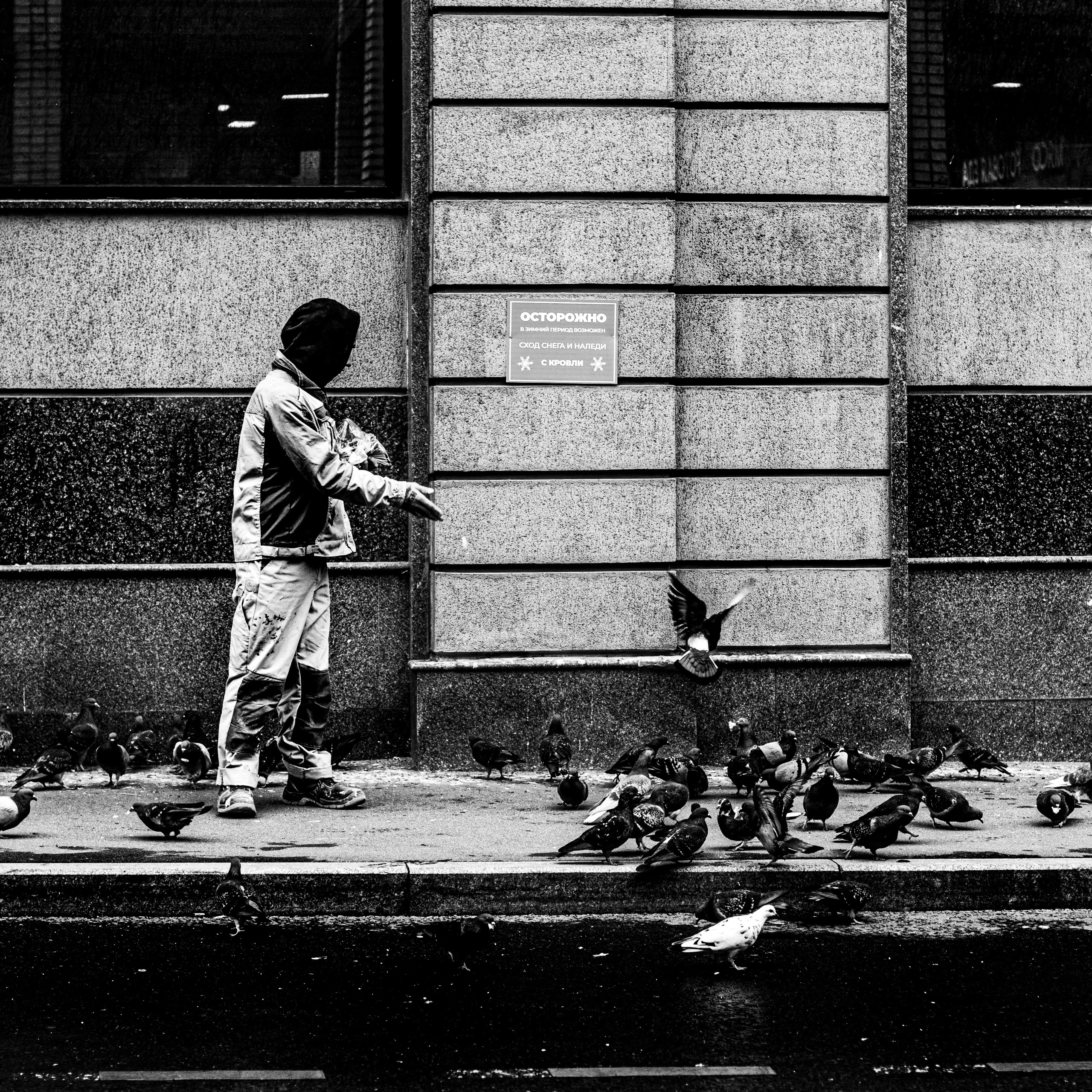 Городские скицы. Главная