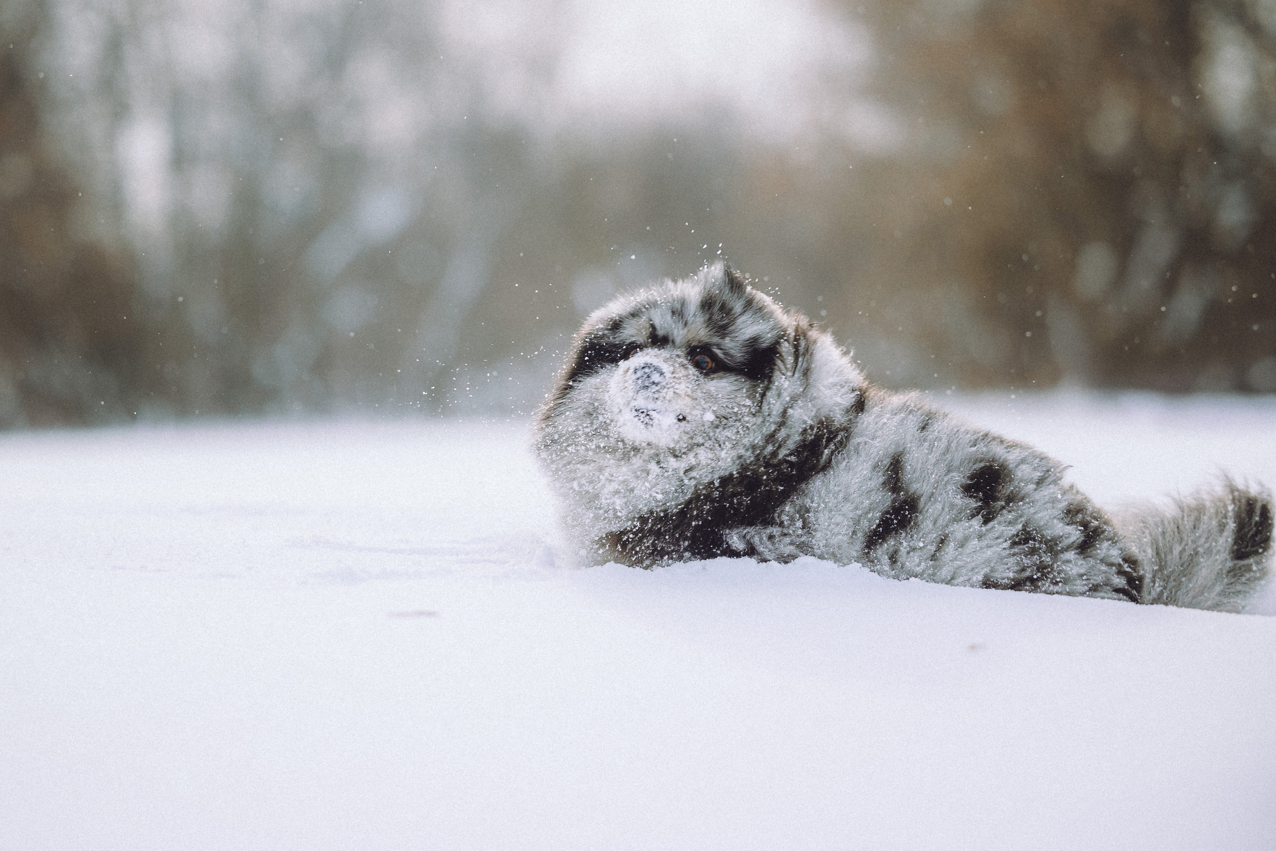 Любава и Марс