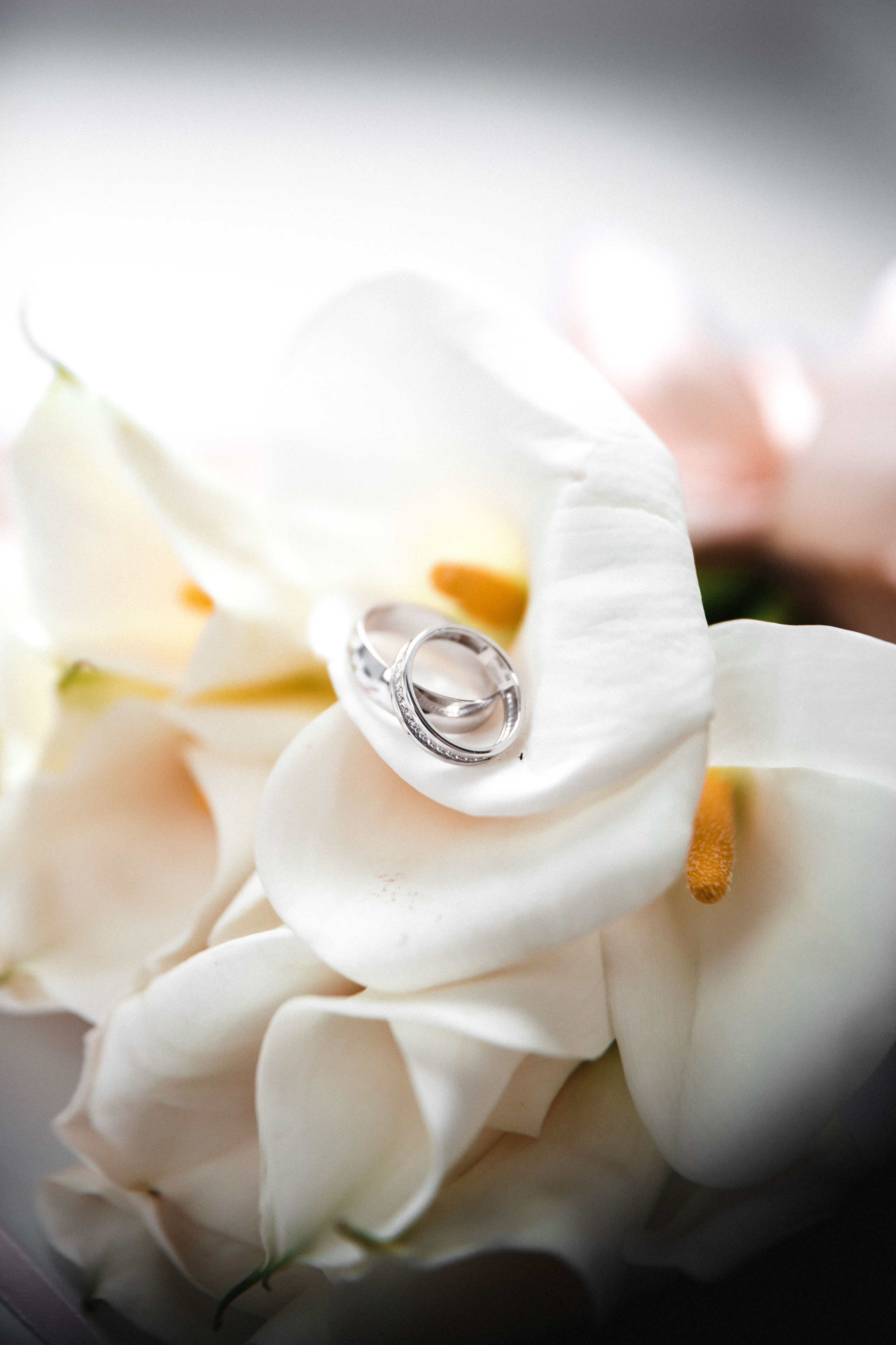 Наталья и Вадим. Фотограф │ Злата bombezno │ Москва