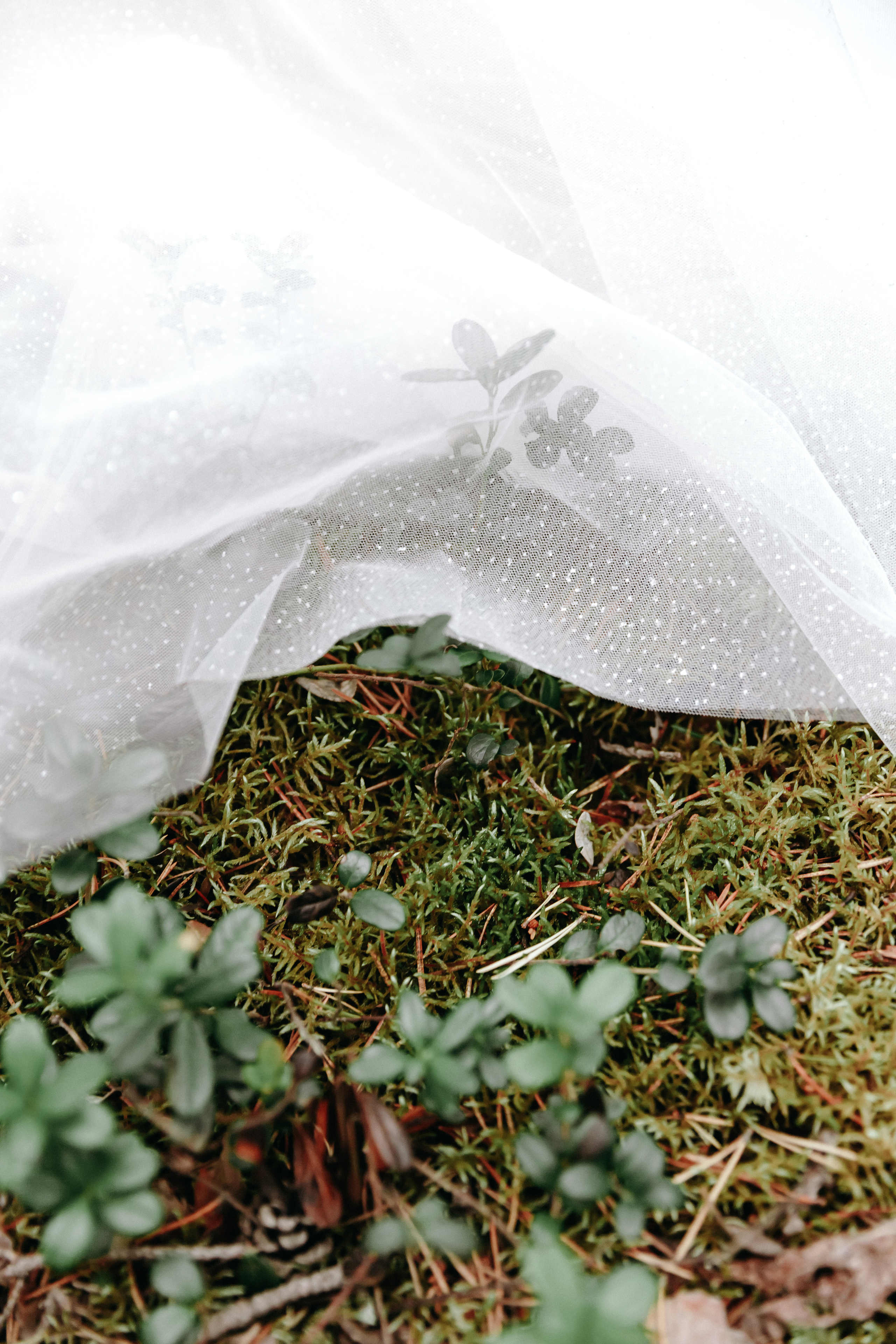 Wedding. Фотограф │ Злата bombezno │ Москва