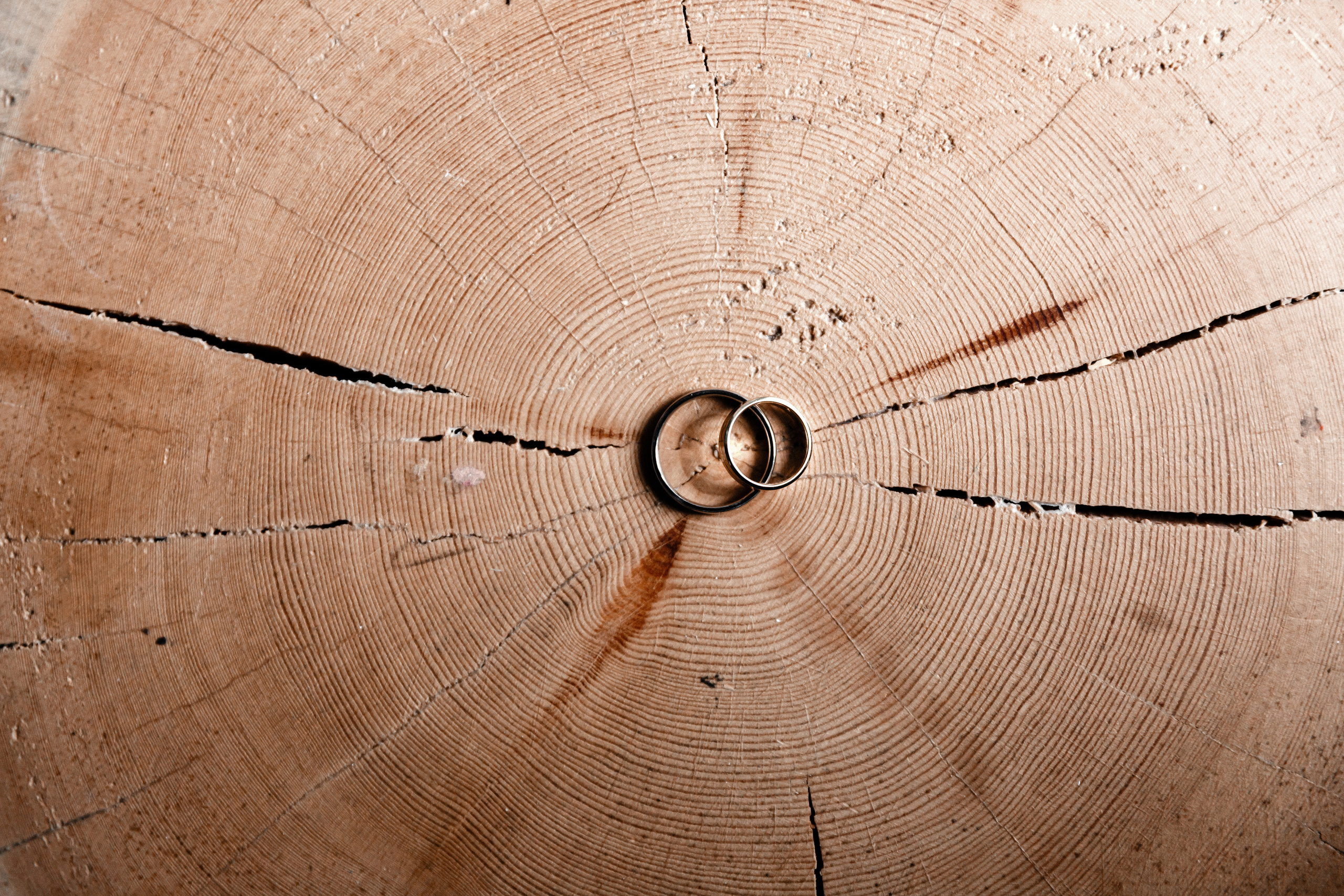 Александра и Денис. Фотограф │ Злата bombezno │ Москва