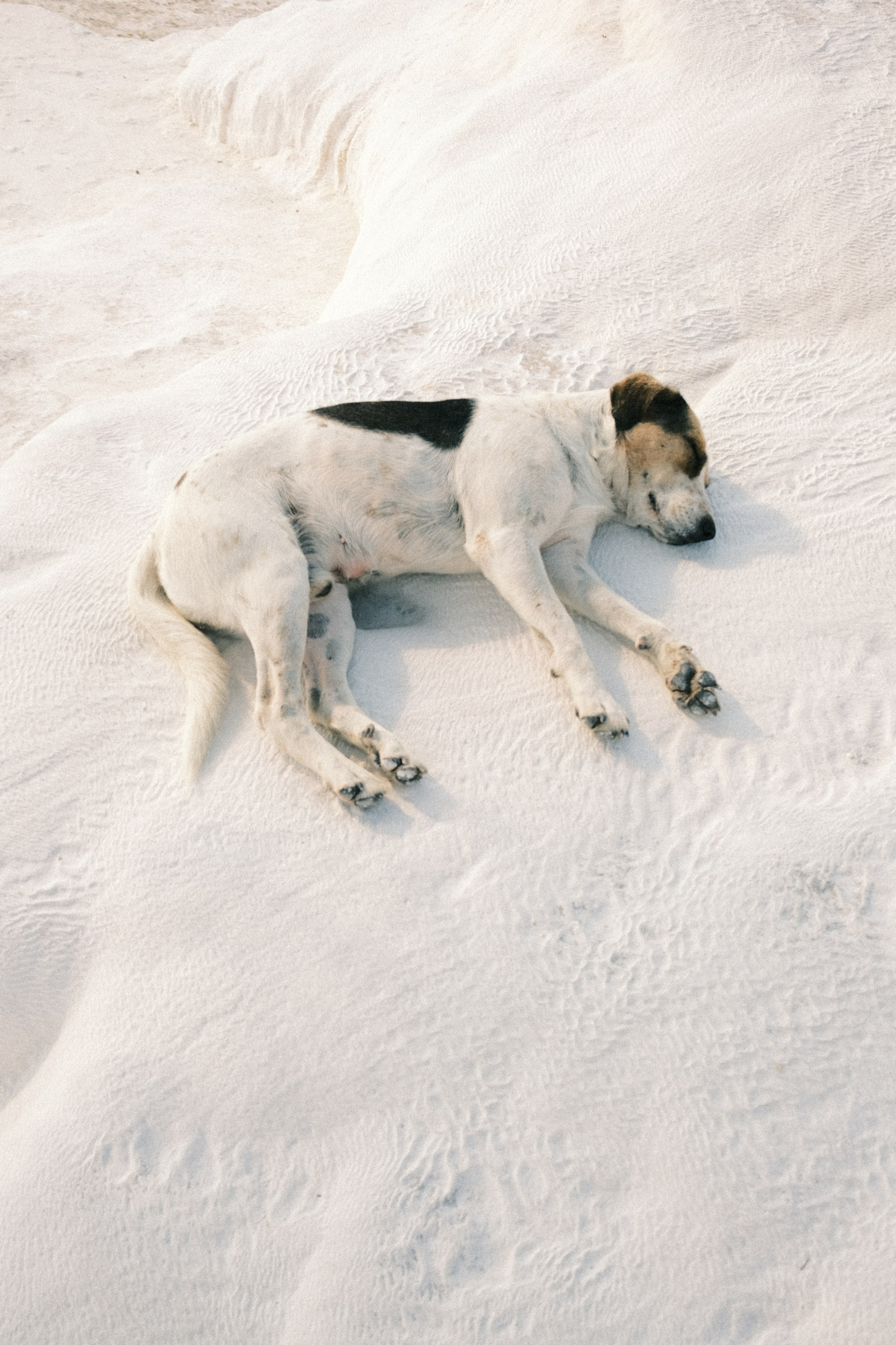 Молчание. Портретный фотограф