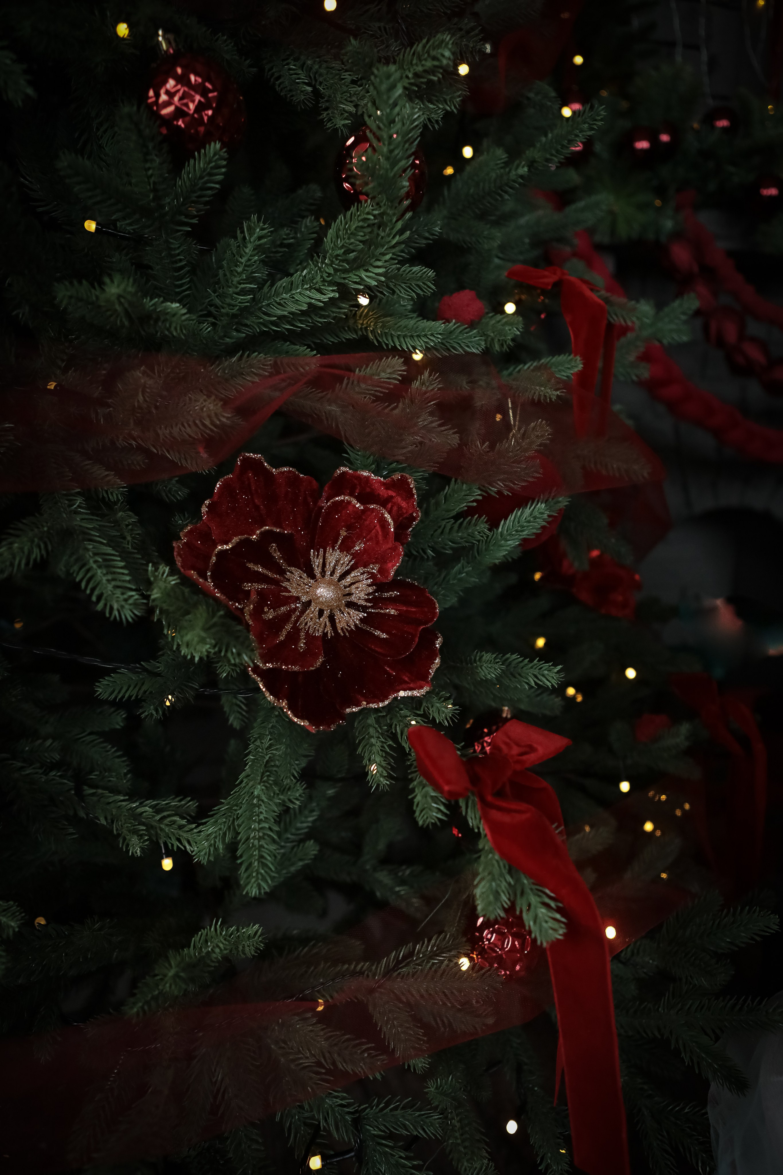 НОВОГОДНИЕ ФОТОСЕССИИ 2025-2026. Фотограф г. Хабаровск. Семейные и индивидуальные съёмки