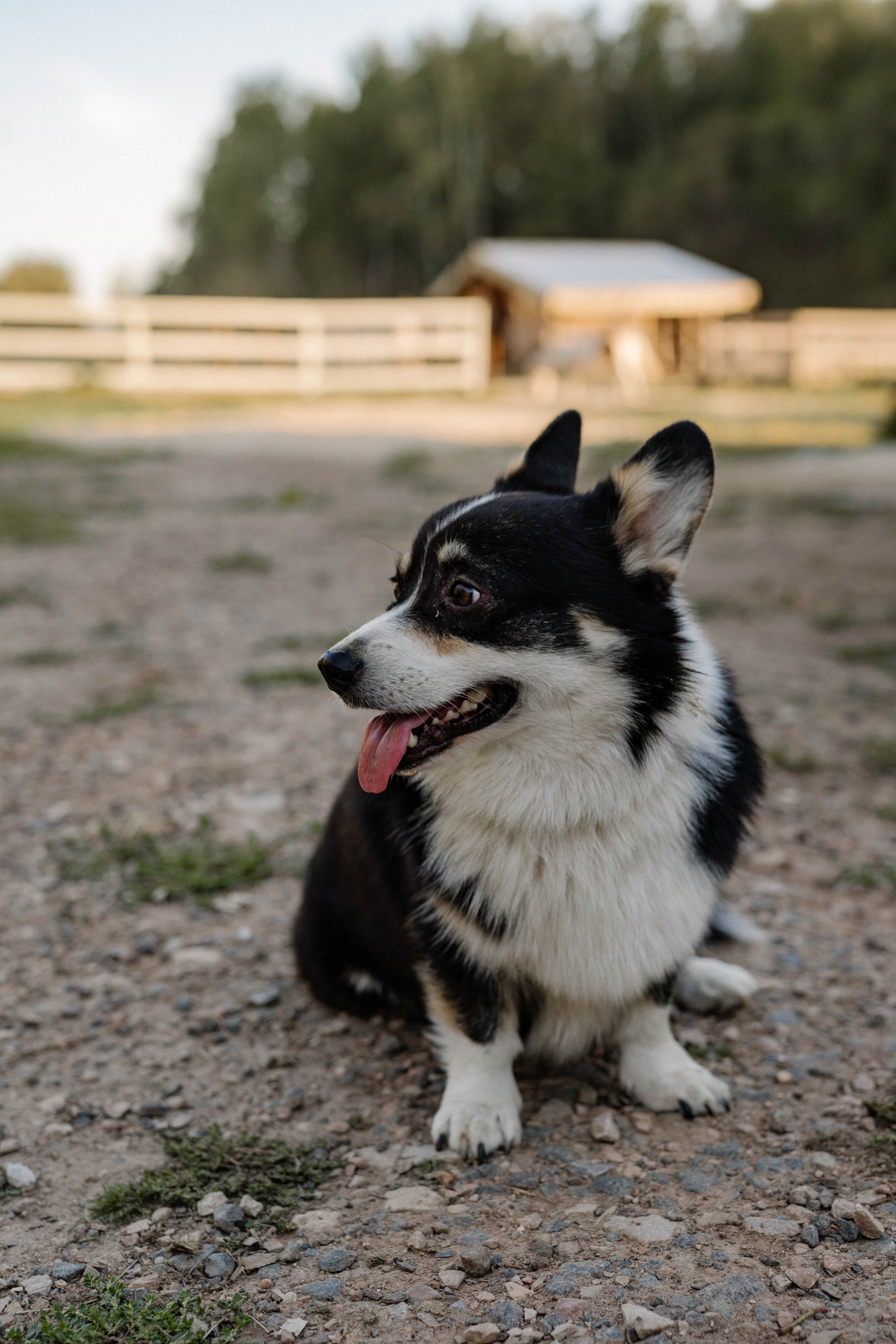 Анна. Свадебный и семейный фотограф в Калуге Анна Киреева