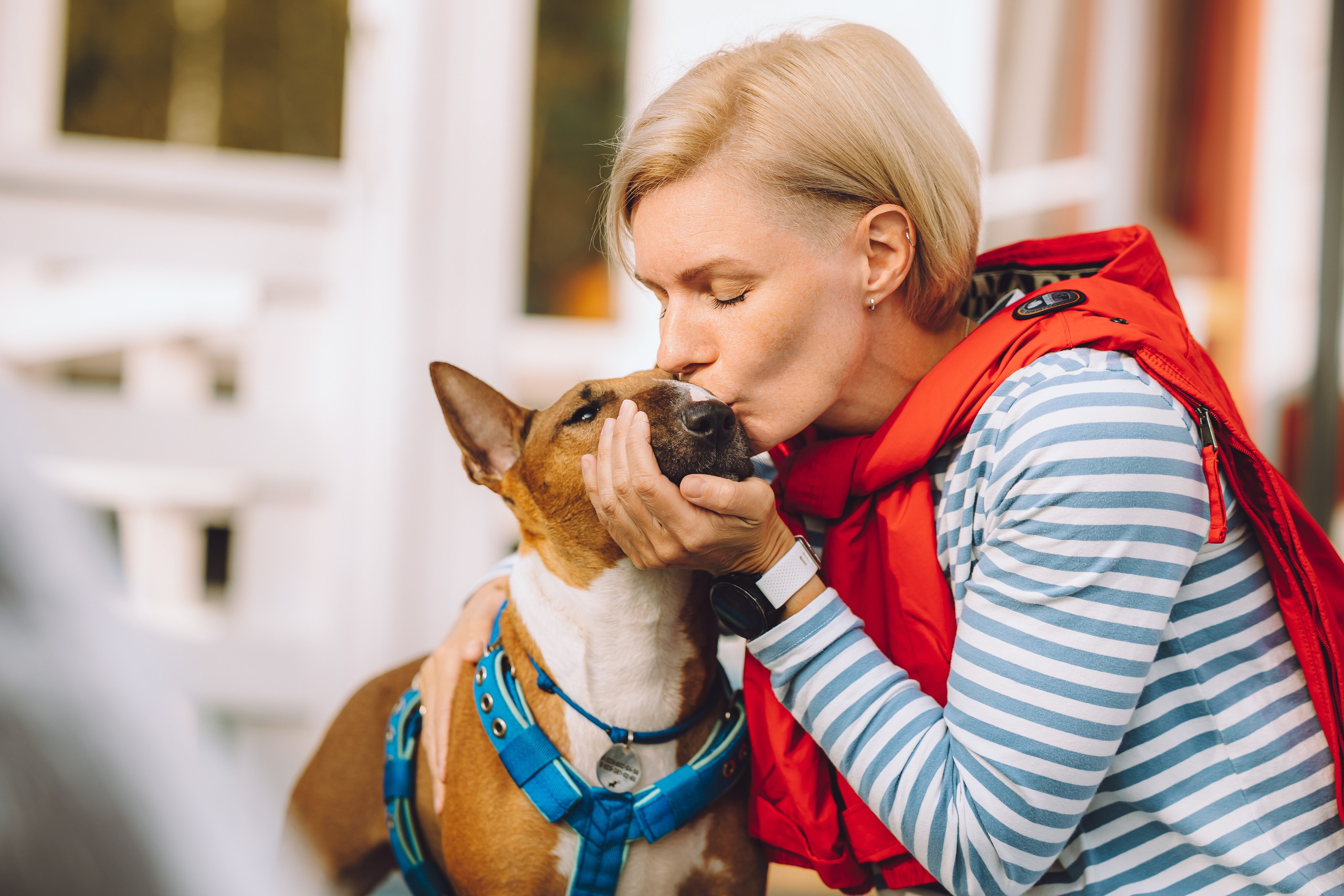 Выездной дог-тренинг от школы «Шерсть имею», Тованово