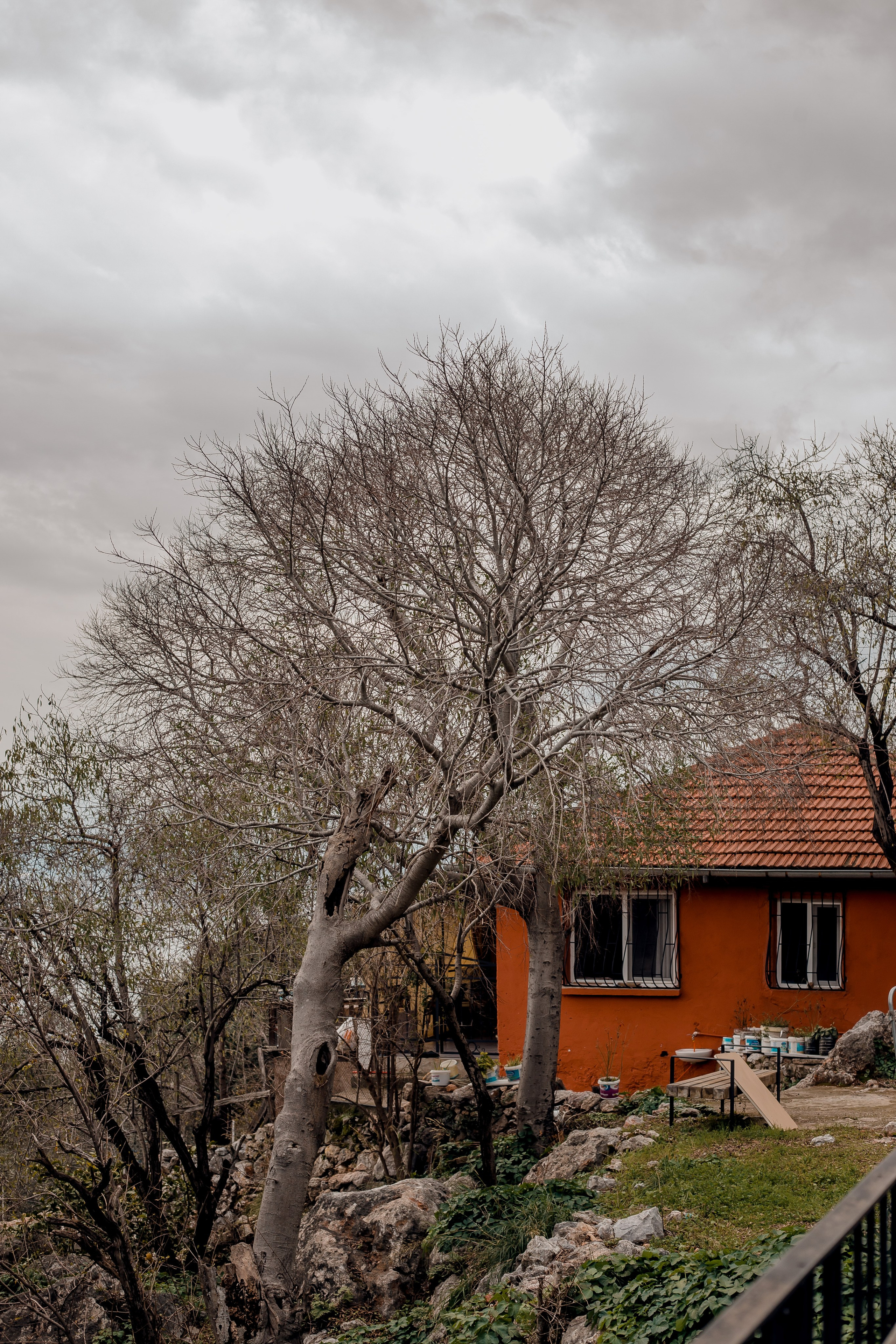 Turkey, Alanya. Art Photographer