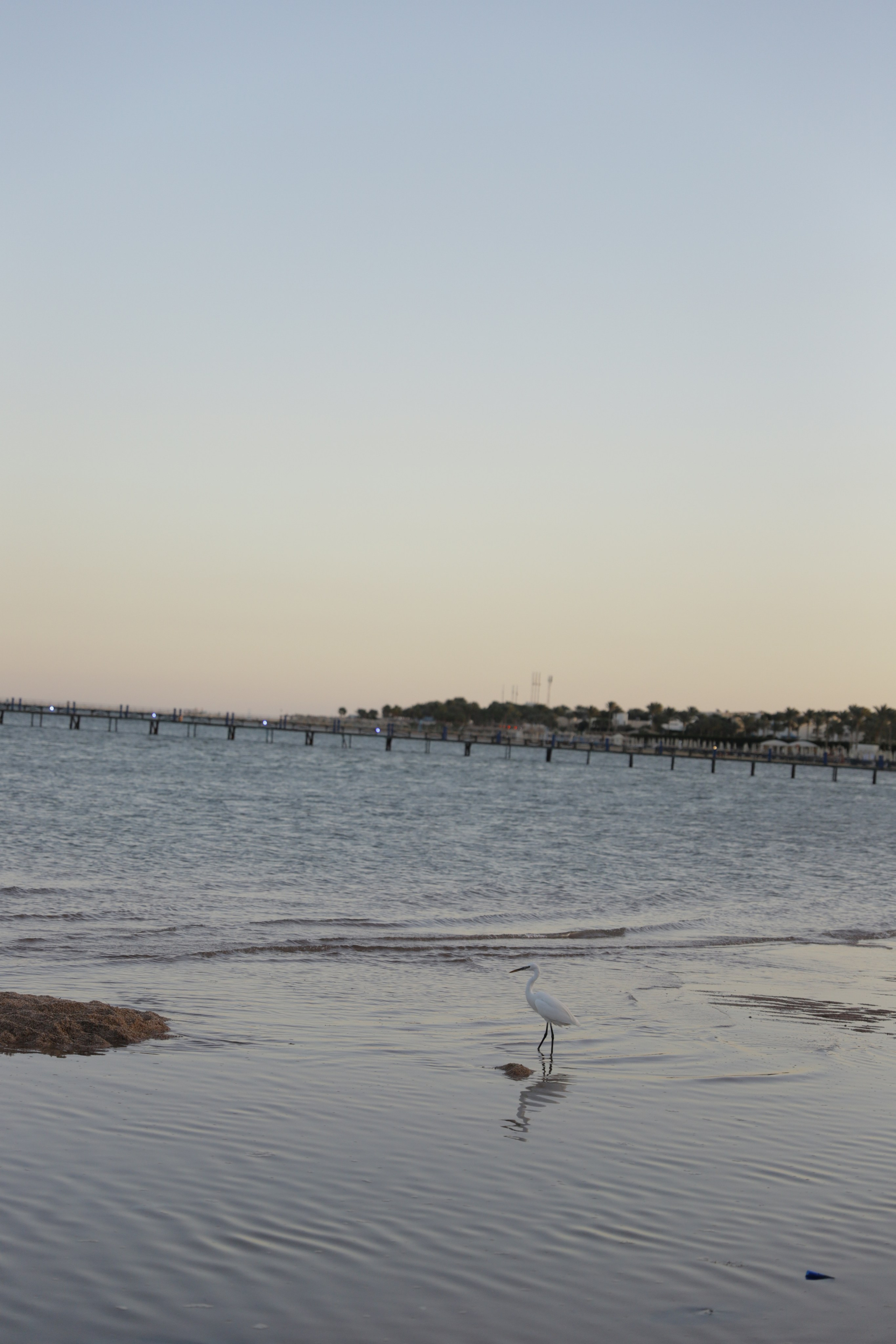 Шарм-Эль-Шейх. Светлана Иванова - профессиональный фотограф