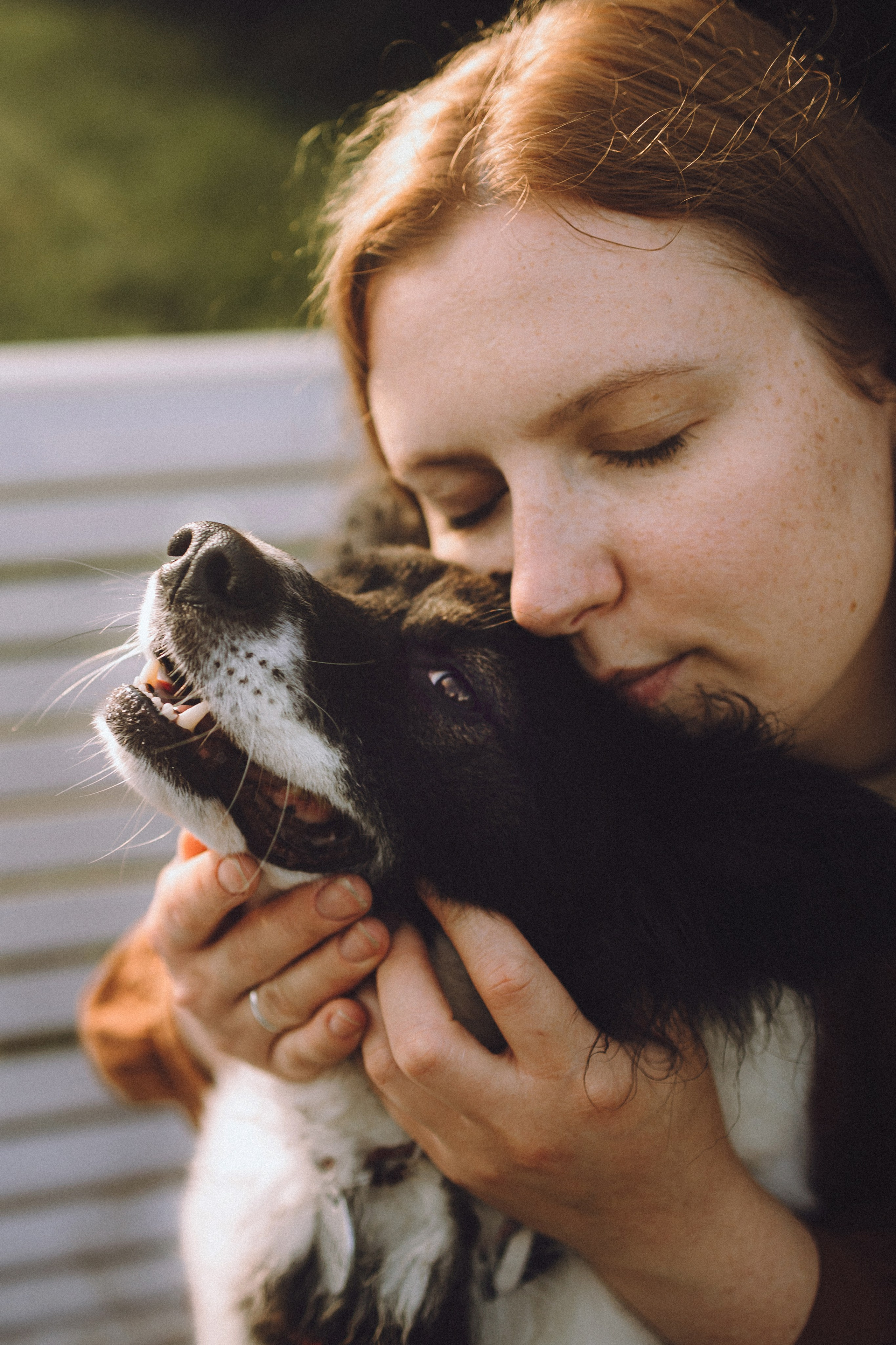 Фифа, Кнопка, Бублик и их семья