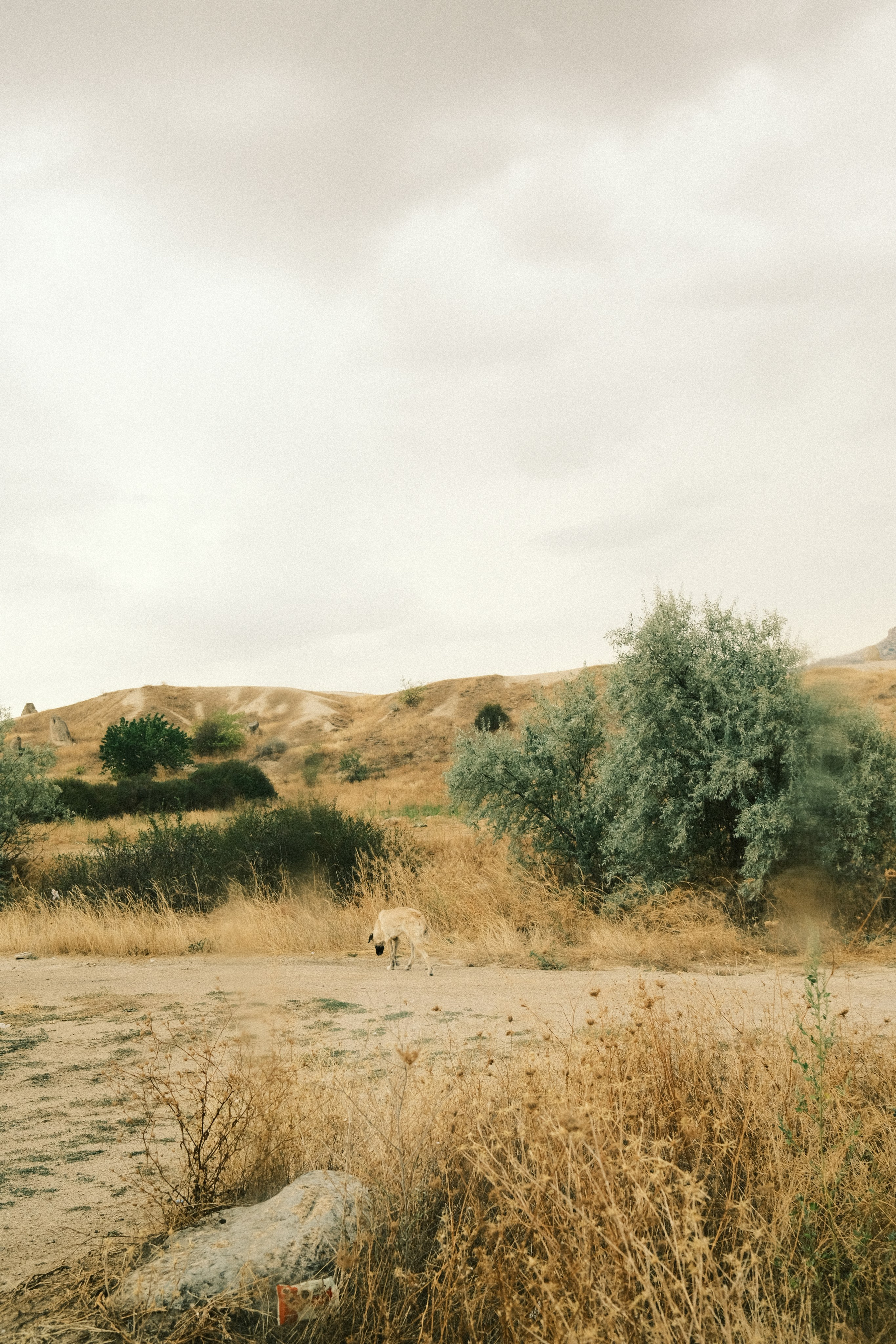 Молчание. Портретный фотограф