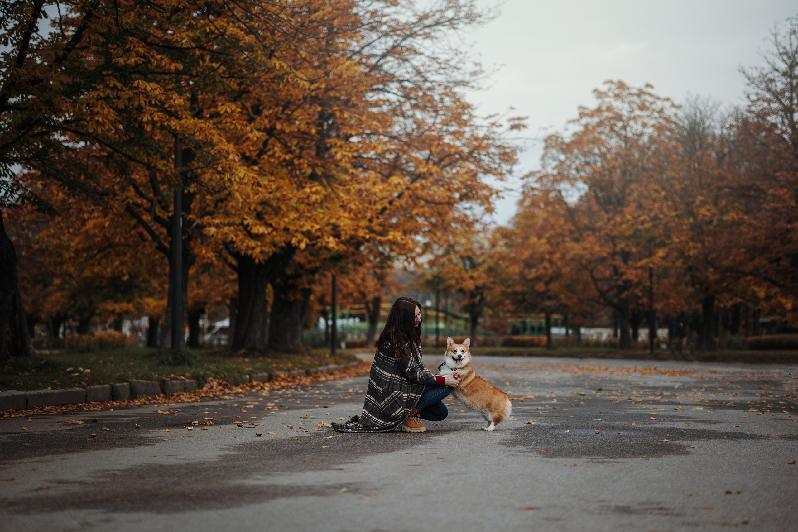 Юля и Терри. Фотограф — Анималист | Санкт-Петербург