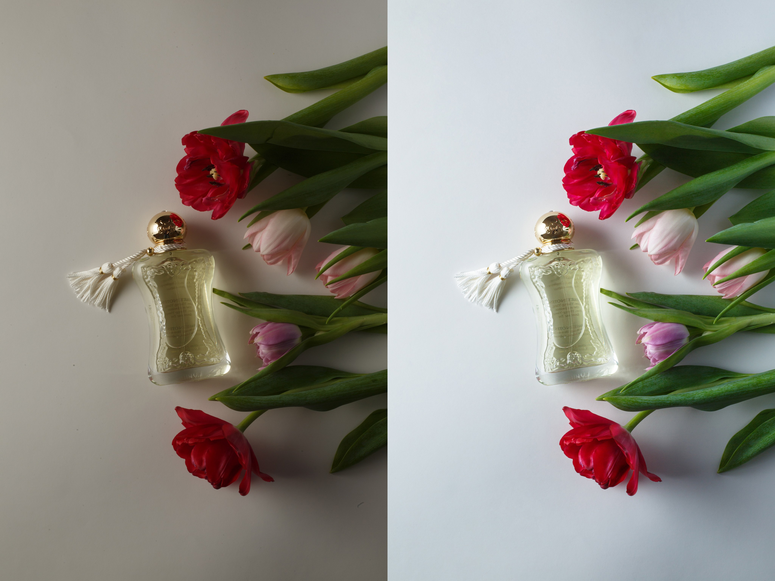 Профессиональная художественная обработка фотографий косметики | Студия SVITHART