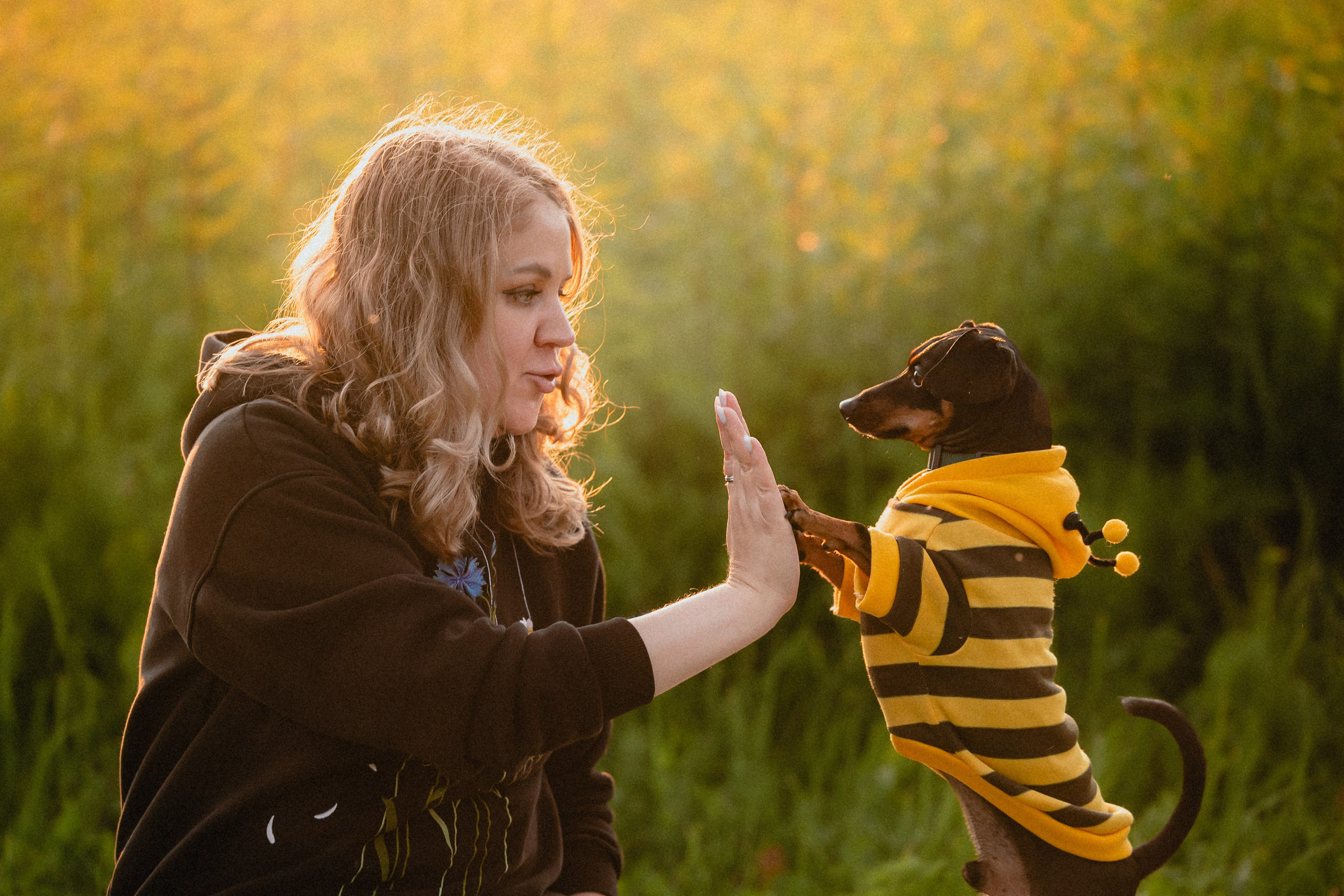 Выездной дог-тренинг от школы «Шерсть имею»