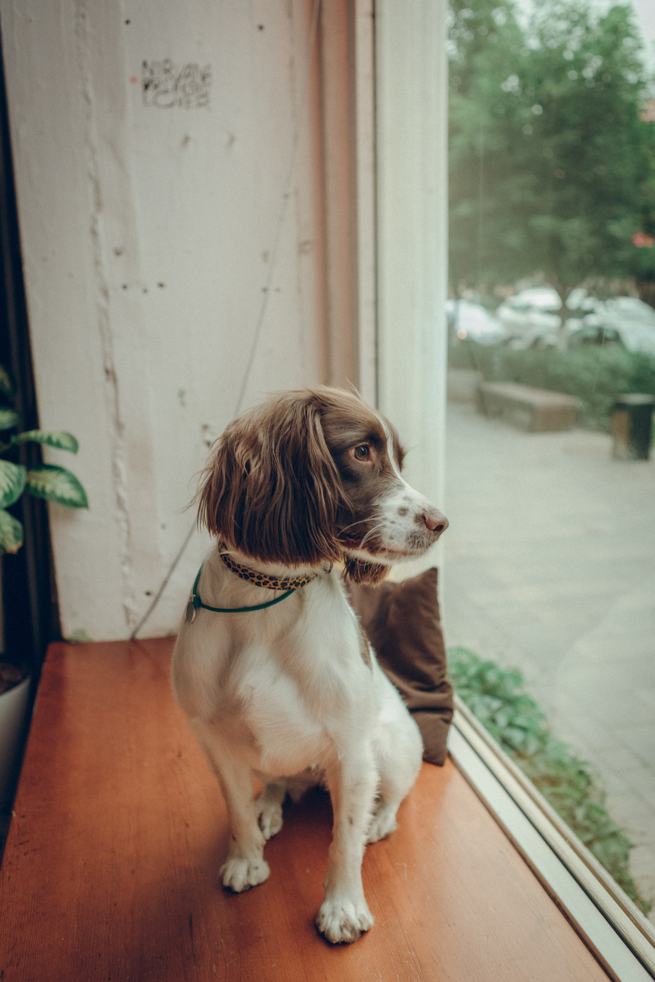 Family moment. Семейный фотограф и фотограф на роды в Ростове-на-Дону Мухина Виктория