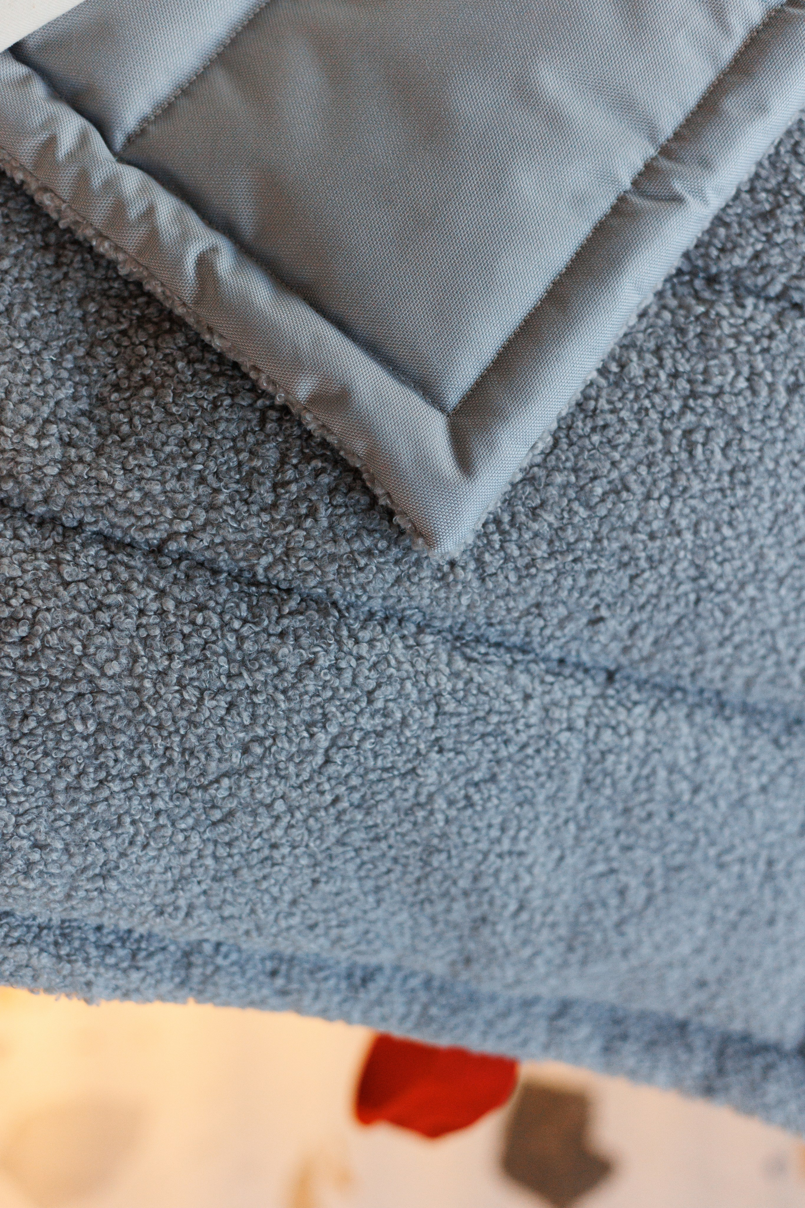 Bmbh городская. Фотограф анималист Кристина Карпова, Москва