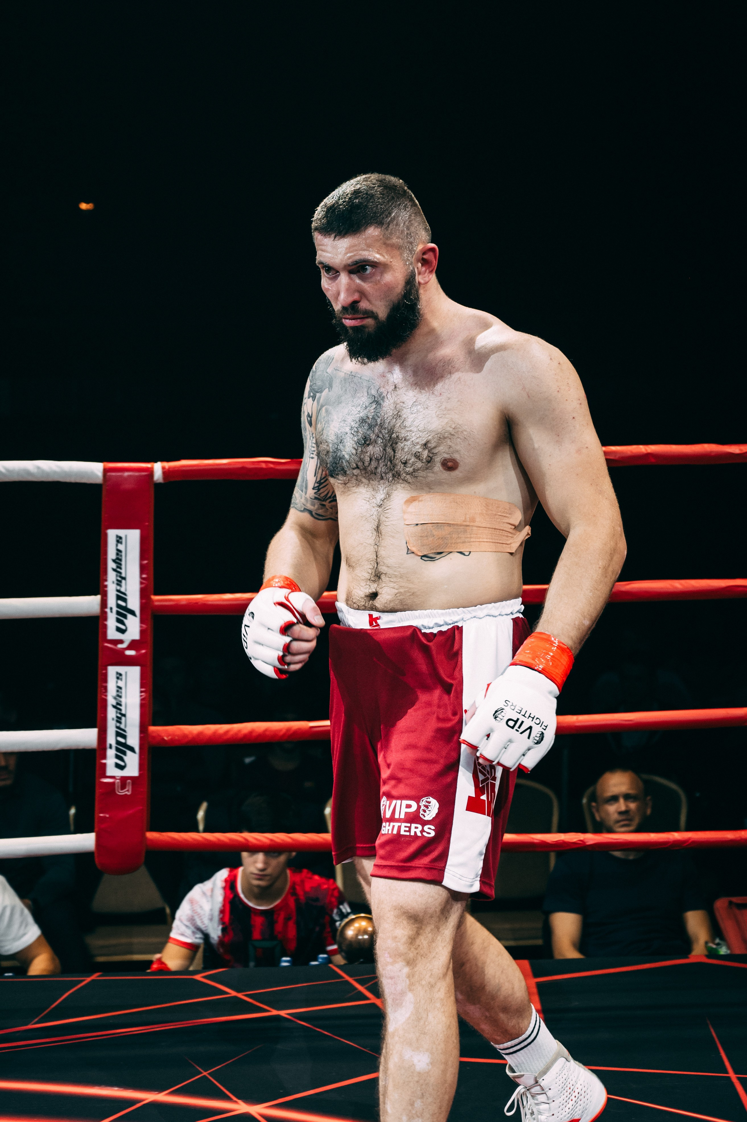 VipFighters vs SFC. Фотограф в Волгограде Марина Черных