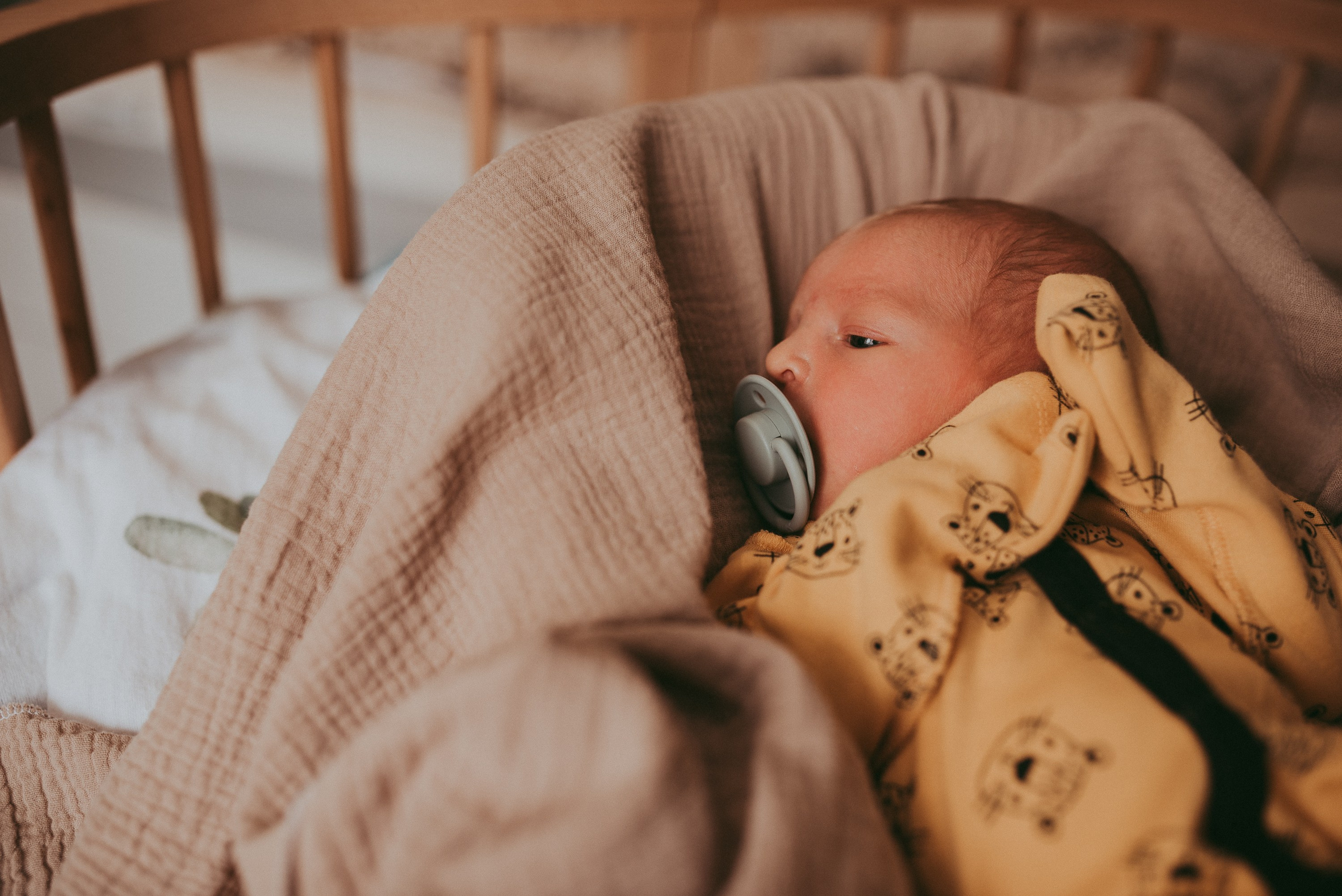 Маленький космос. Семейный и детский фотограф в Новосибирске и Краснообске — Анна Ким