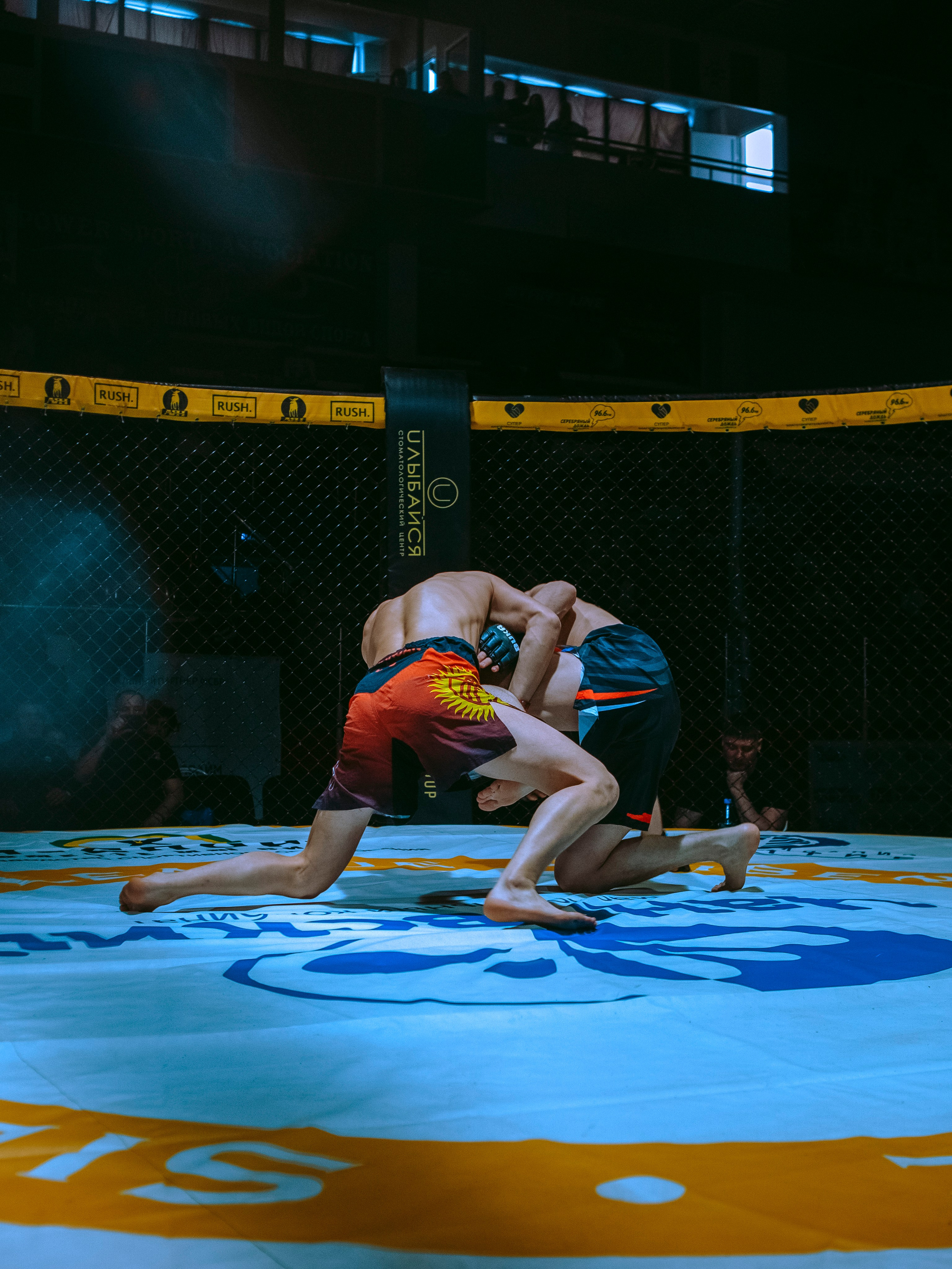 SFL 17 | Siberian Fighting League. Портретный фотограф в Москве Дарья Цезария