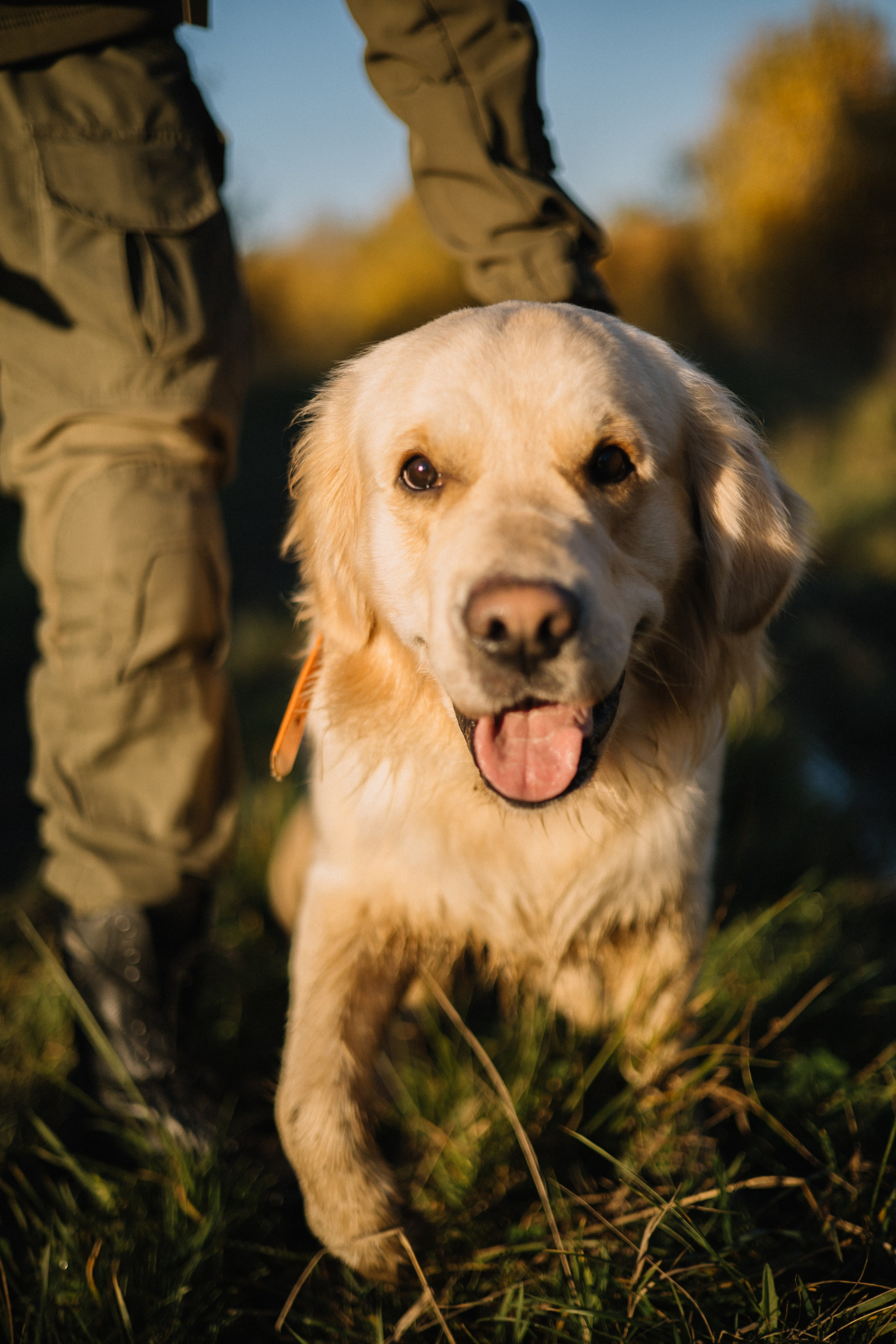 Для охотника