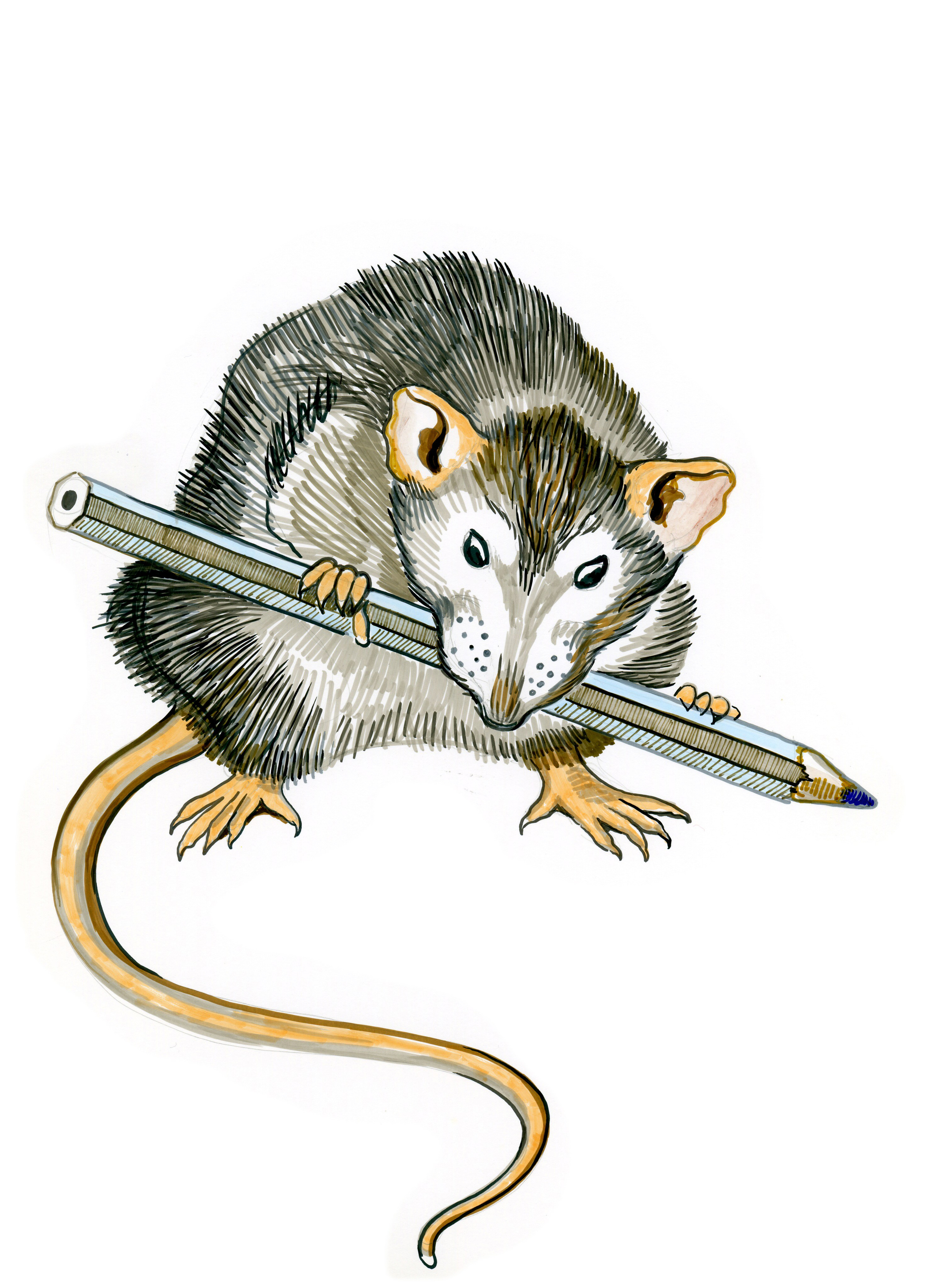 Художник-график Андреева Ирина. Художник в Липецке Ирина Андреева