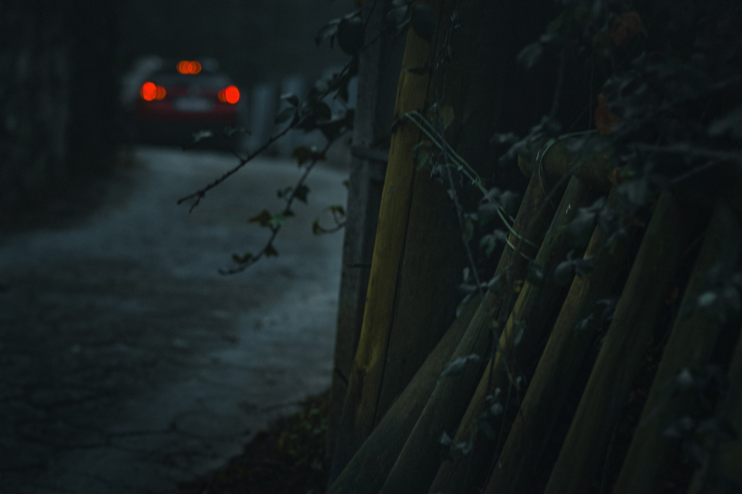 Пейзаж. Фотография как кино