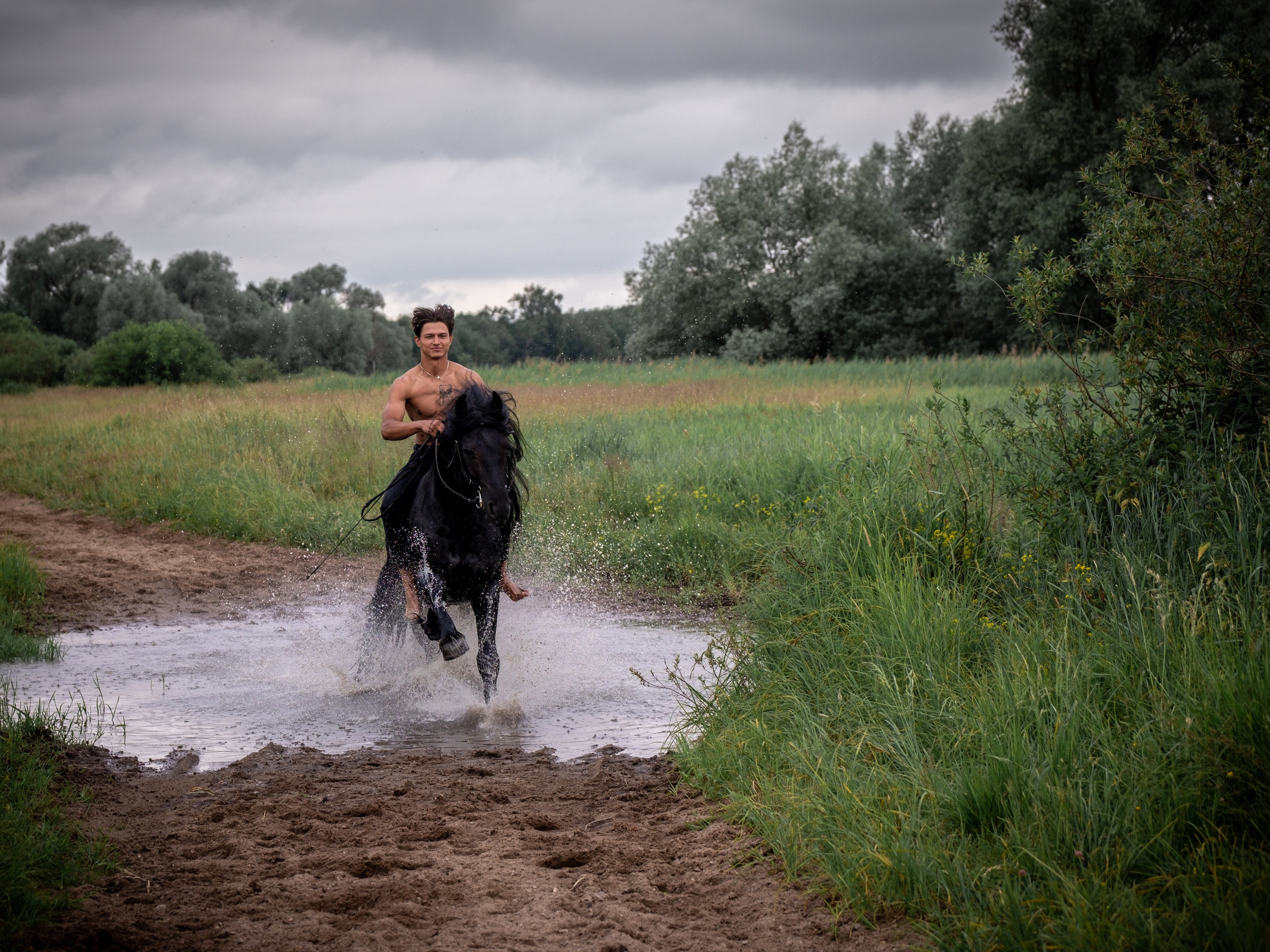 Люди и лошади!. Зоофотограф, фотограф животных в Москве и области Дина Дамоцева
