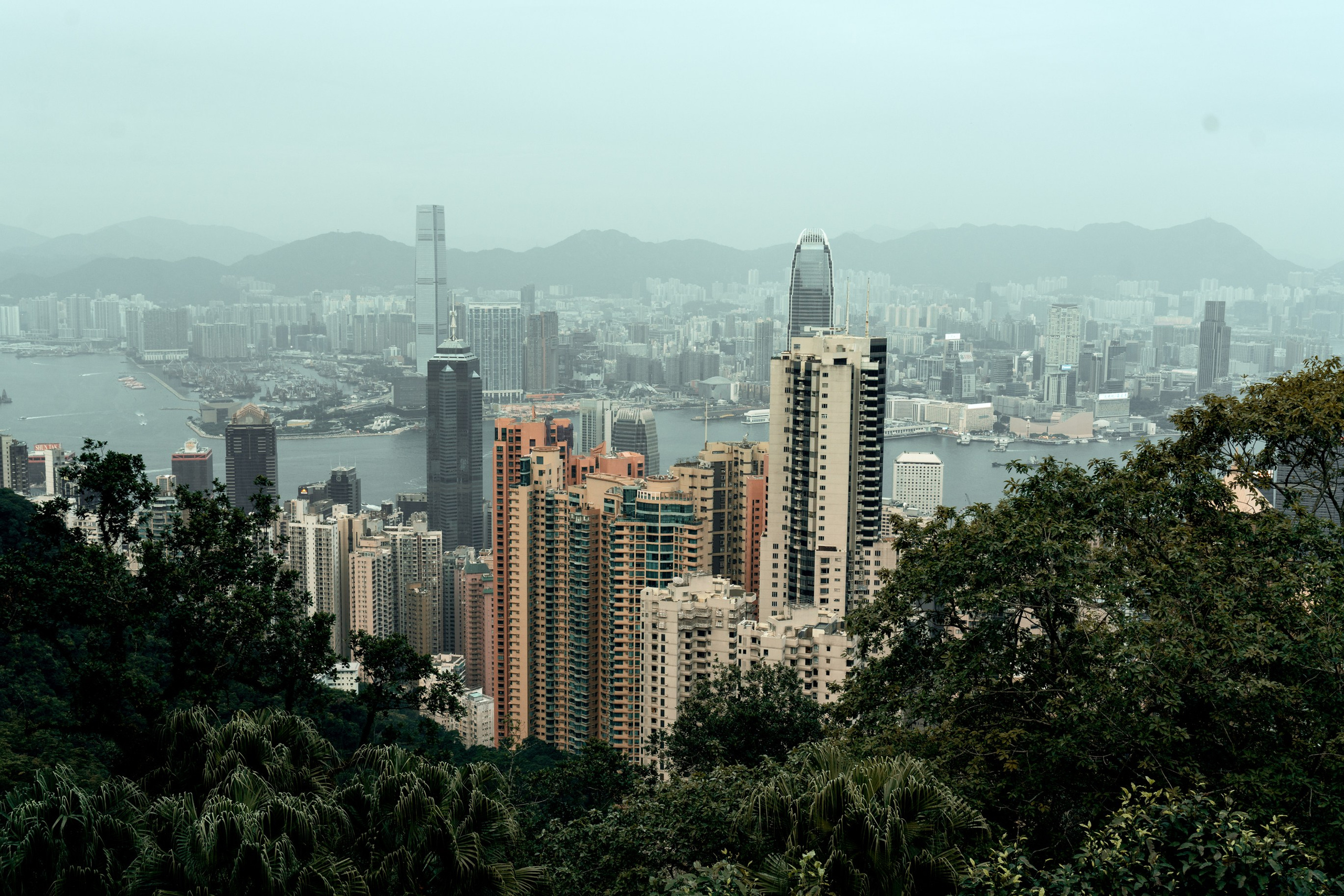 Ktokuda. Фотограф в Хабаровске. Фотография за 24 часа