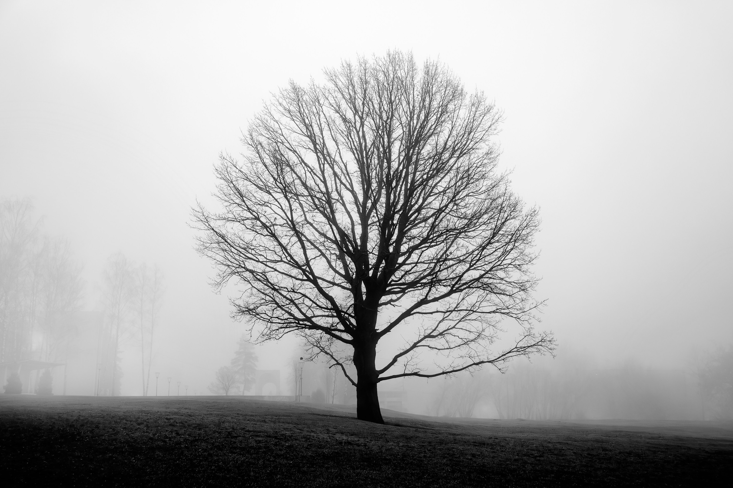 Дипломная работа. Фотограф Зиновьев Илья, Москва