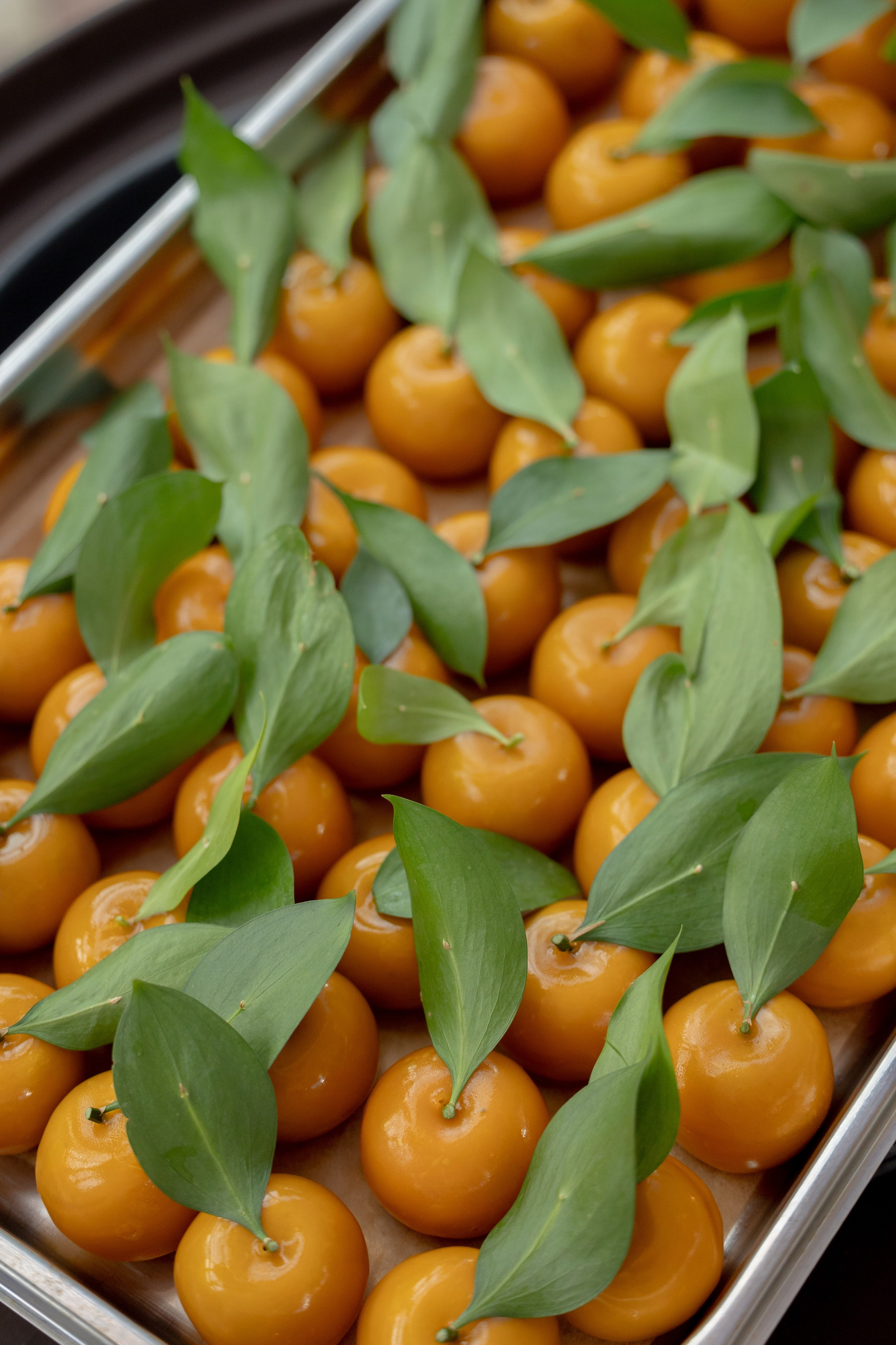 BRICS Russia 2024. Фотограф Москва Людмила Белова