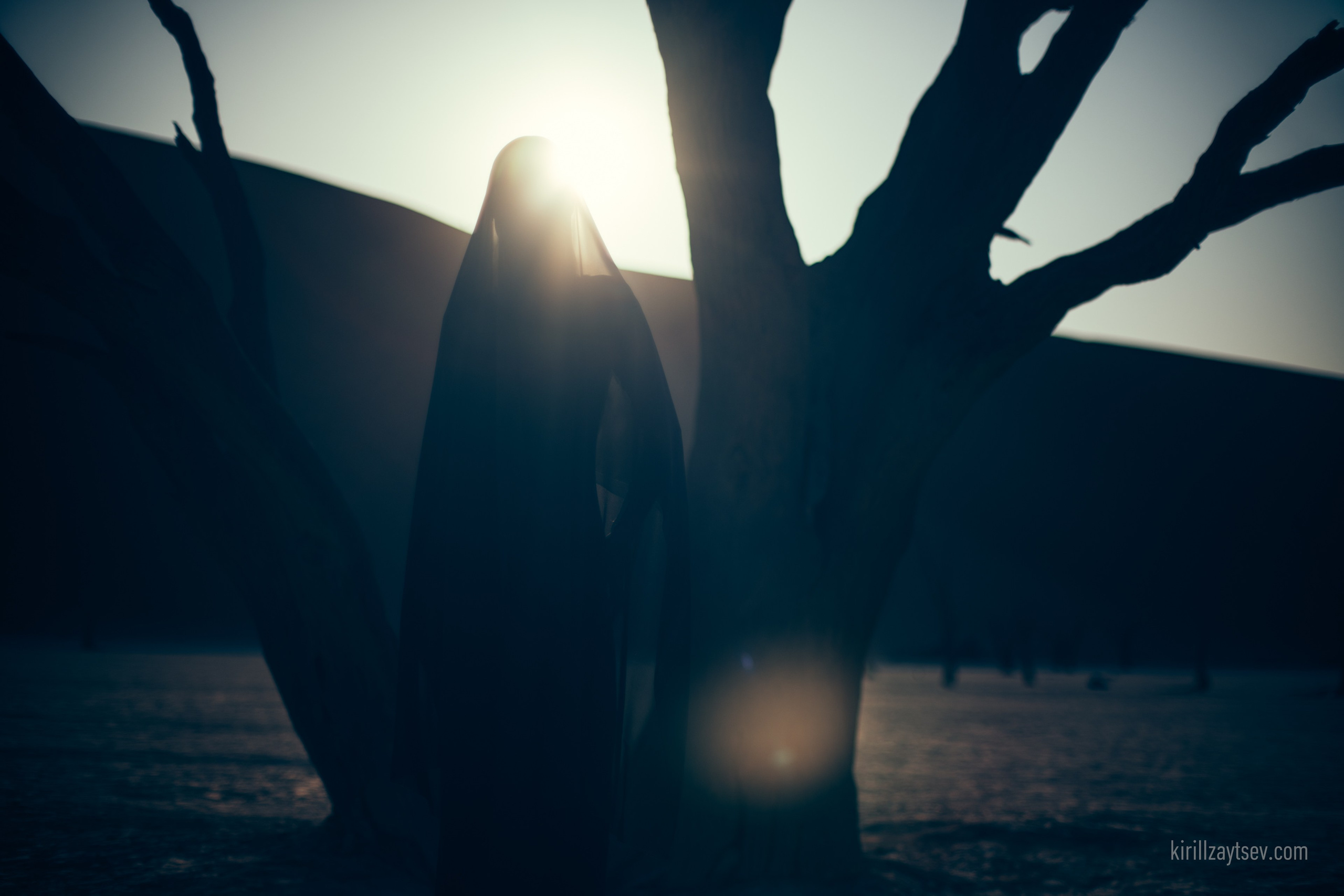 Жизнь. Профессиональный фотограф Кирилл Зайцев