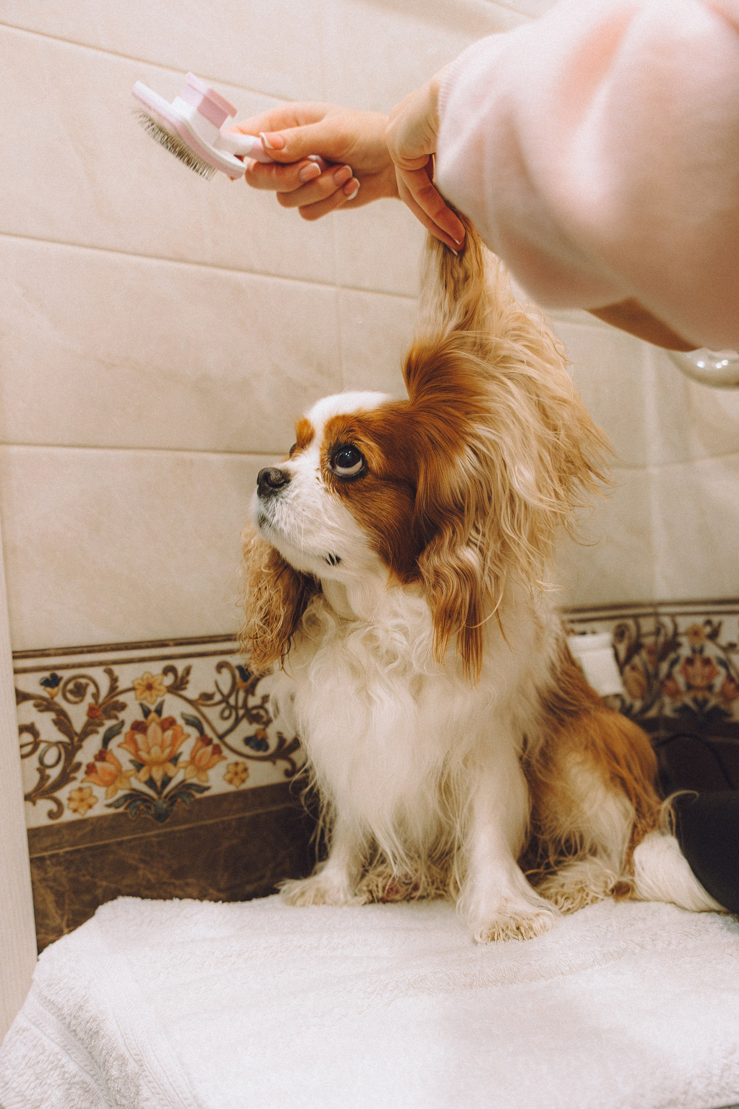 Наташа и Вики