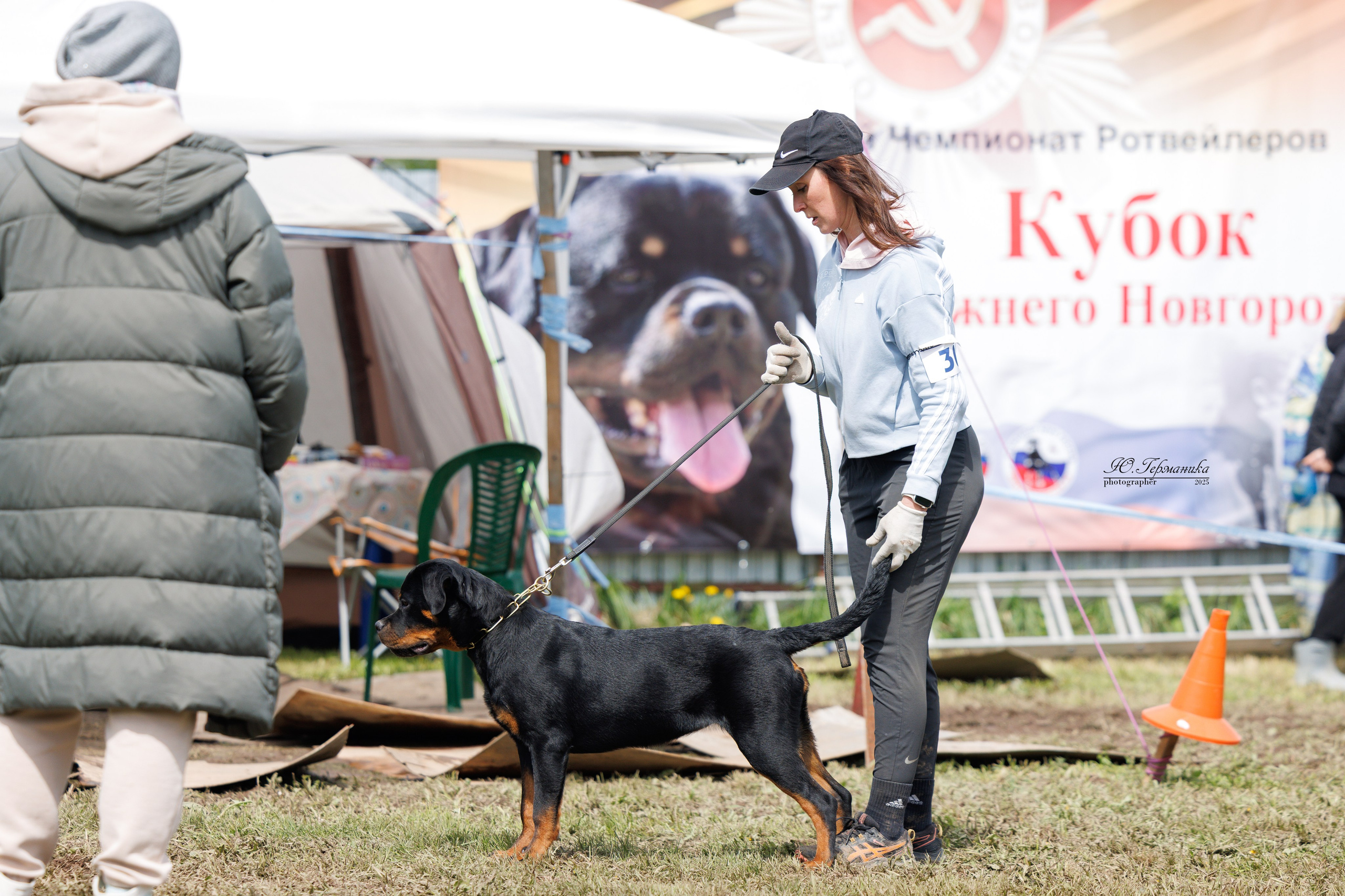 Нижний Новгород 2хмоно ротвейлеров 10-11.05.2025. Фотограф-анималист Юлия Германика