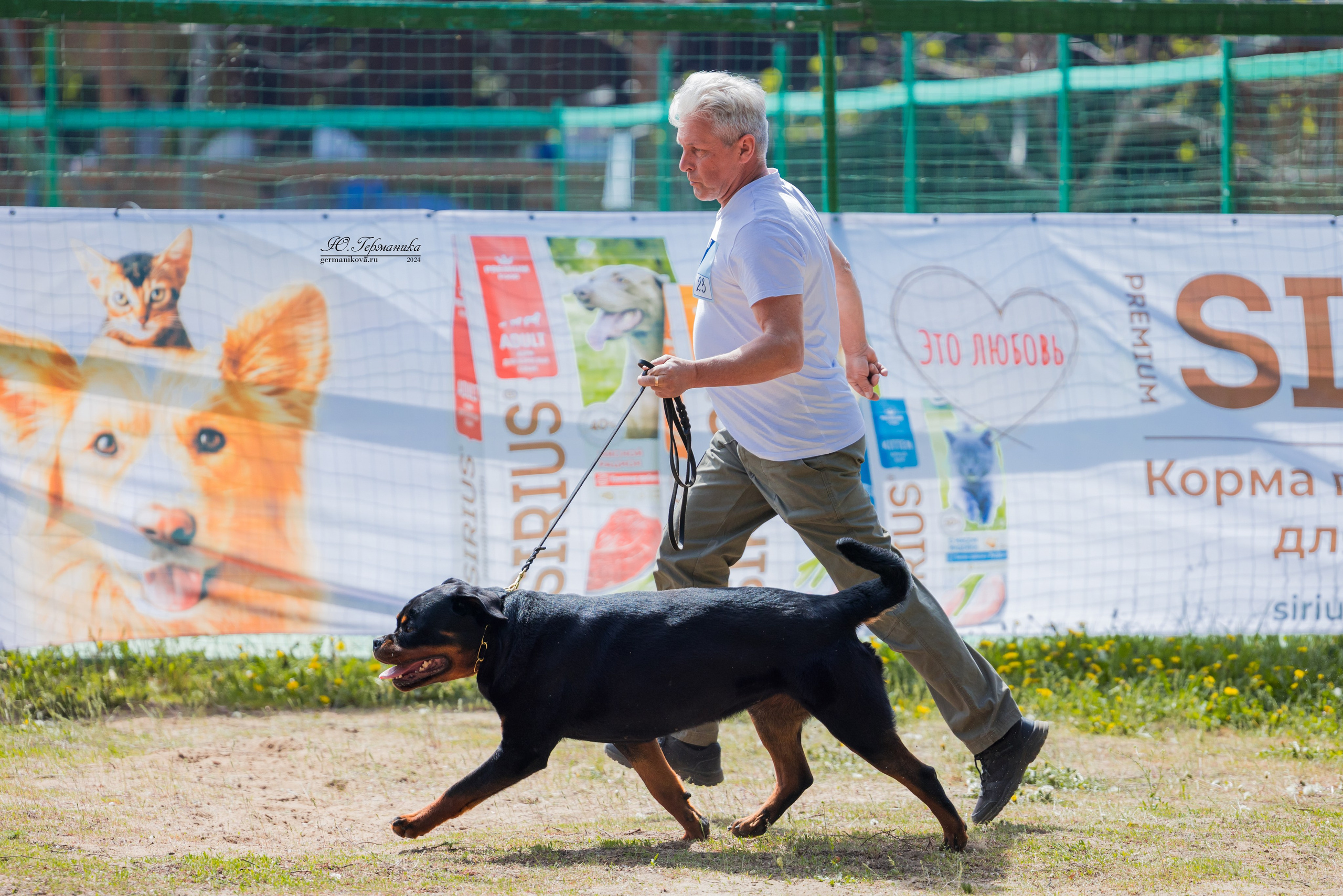 Саратов 2 х моно ротвейлеров 28-29.04.2024. Фотограф-анималист Юлия Германика