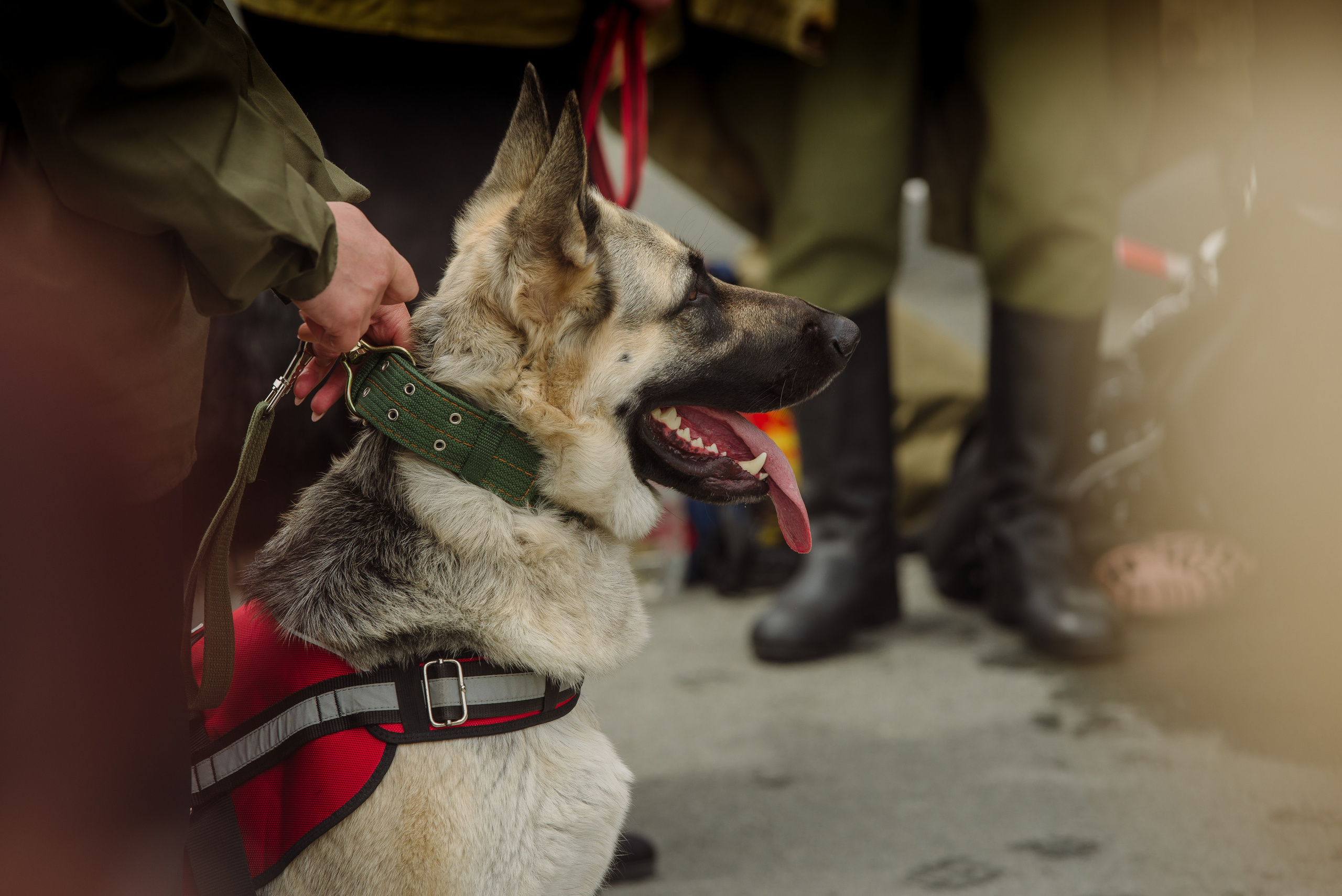 9 мая Центральная плащадь. Фотограф Мария Каюрова