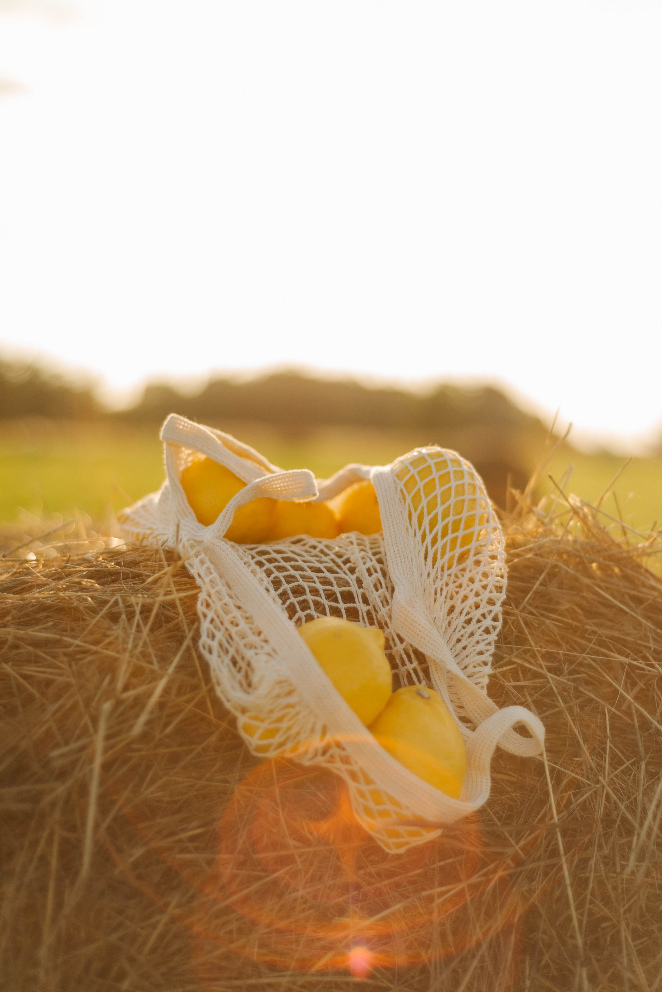 Елена. Фотограф в Новосибирске