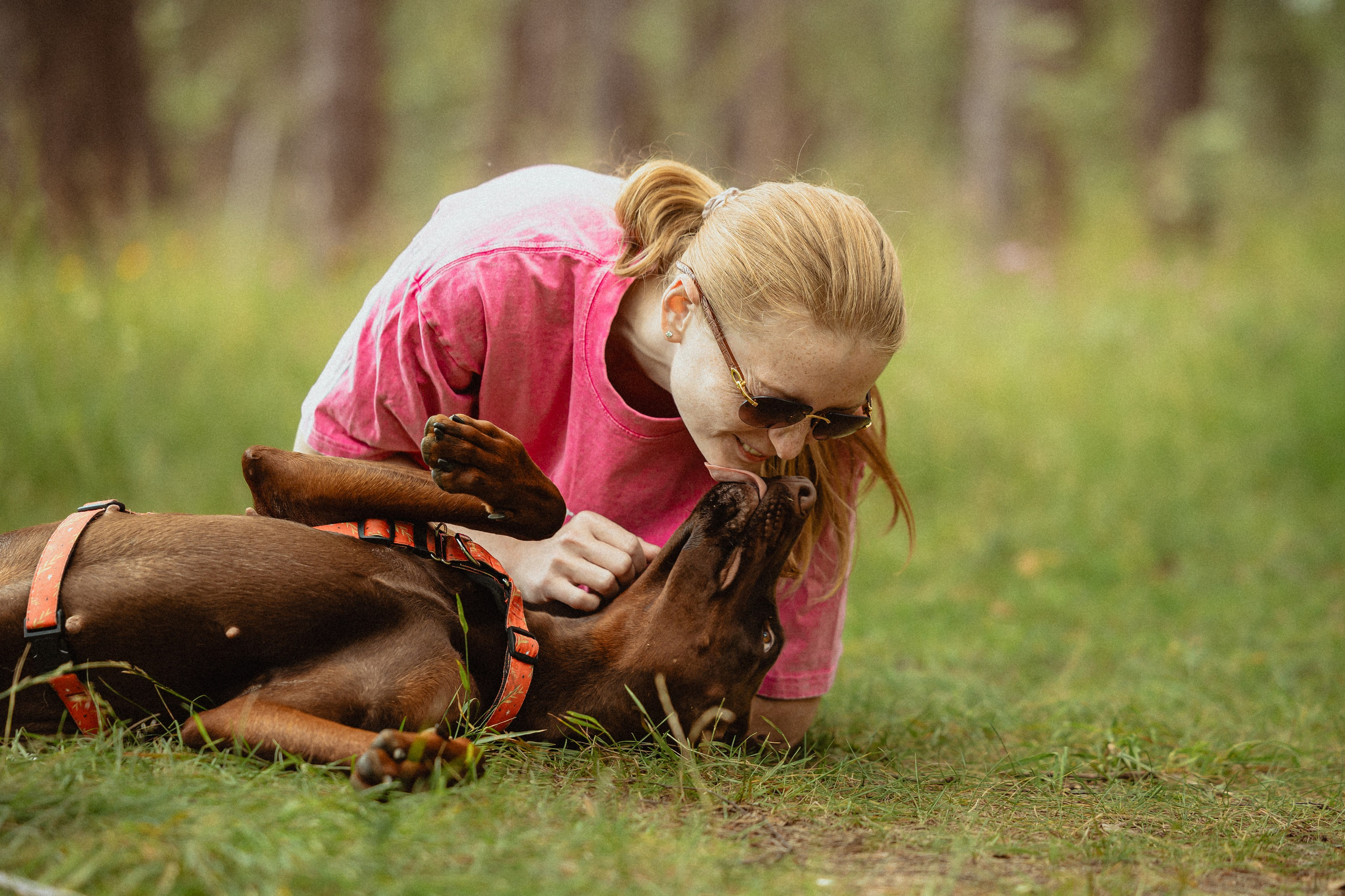 Выездной дог-тренинг от школы «Шерсть имею»
