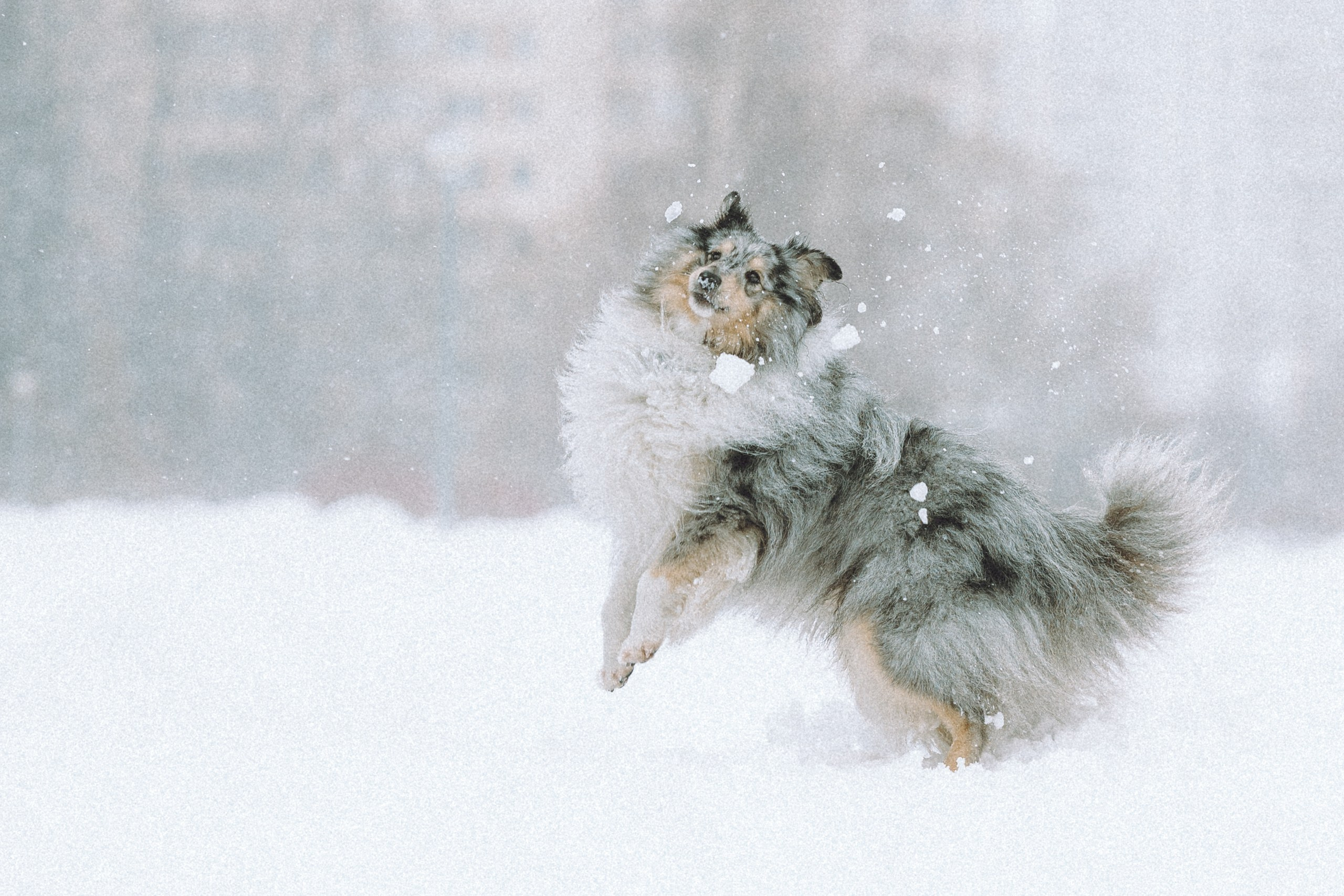 Как фотографировать зимой и сохранить технику?