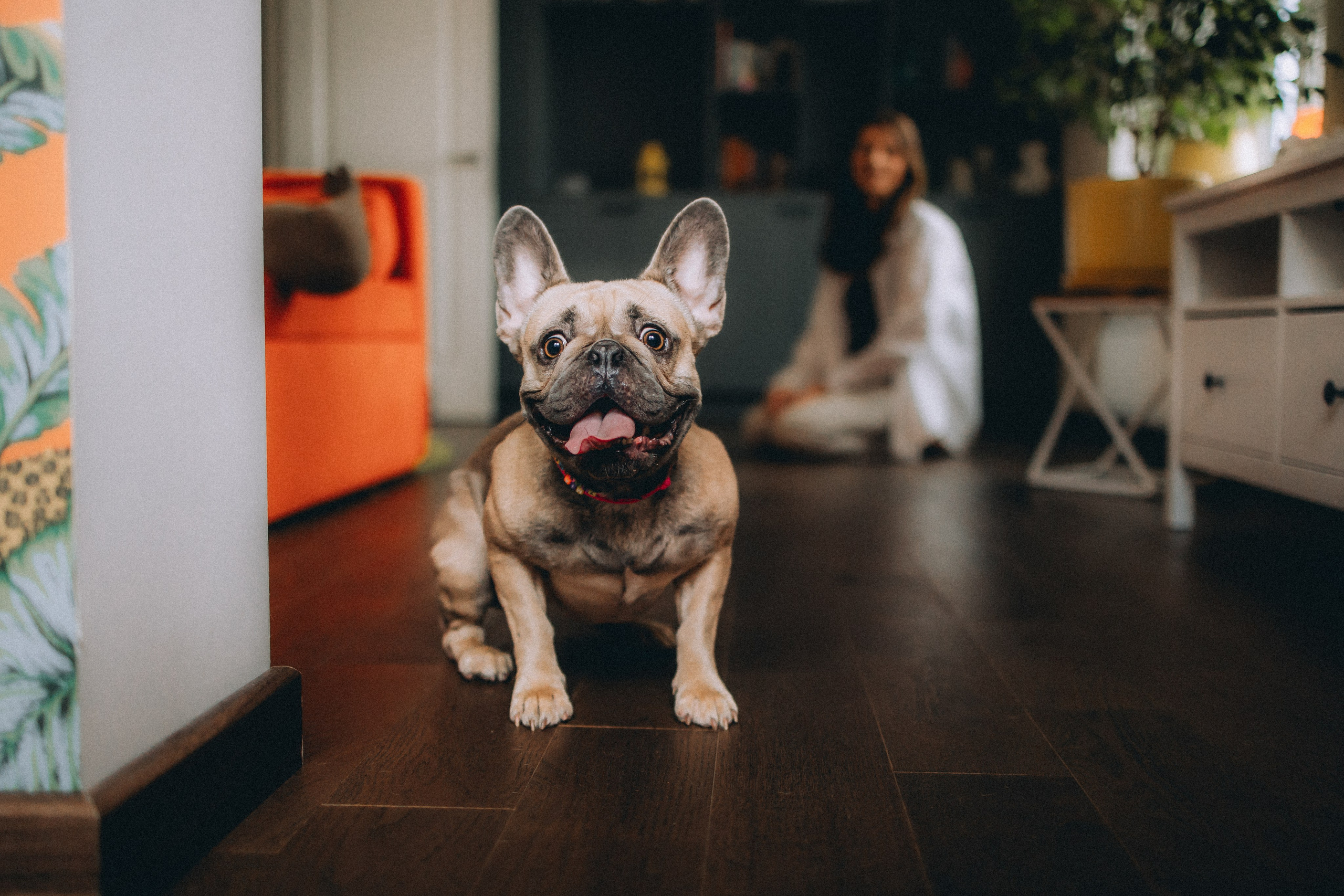 Юля, Мия и Зек