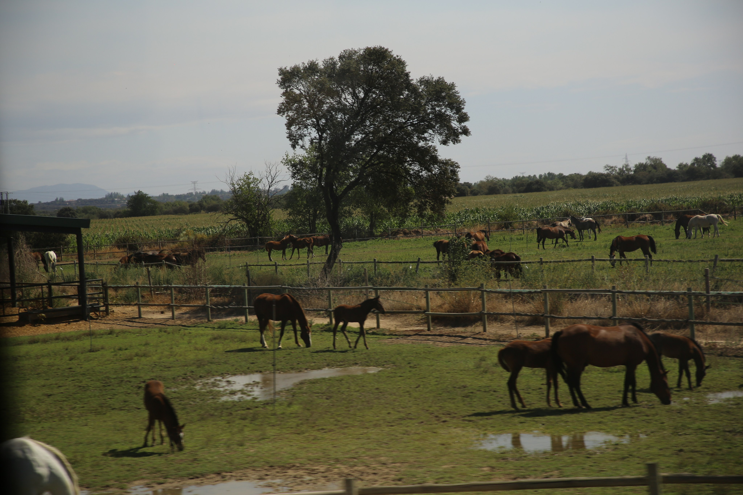 Lisbon, Portugal. Andrey Filippov Photographer