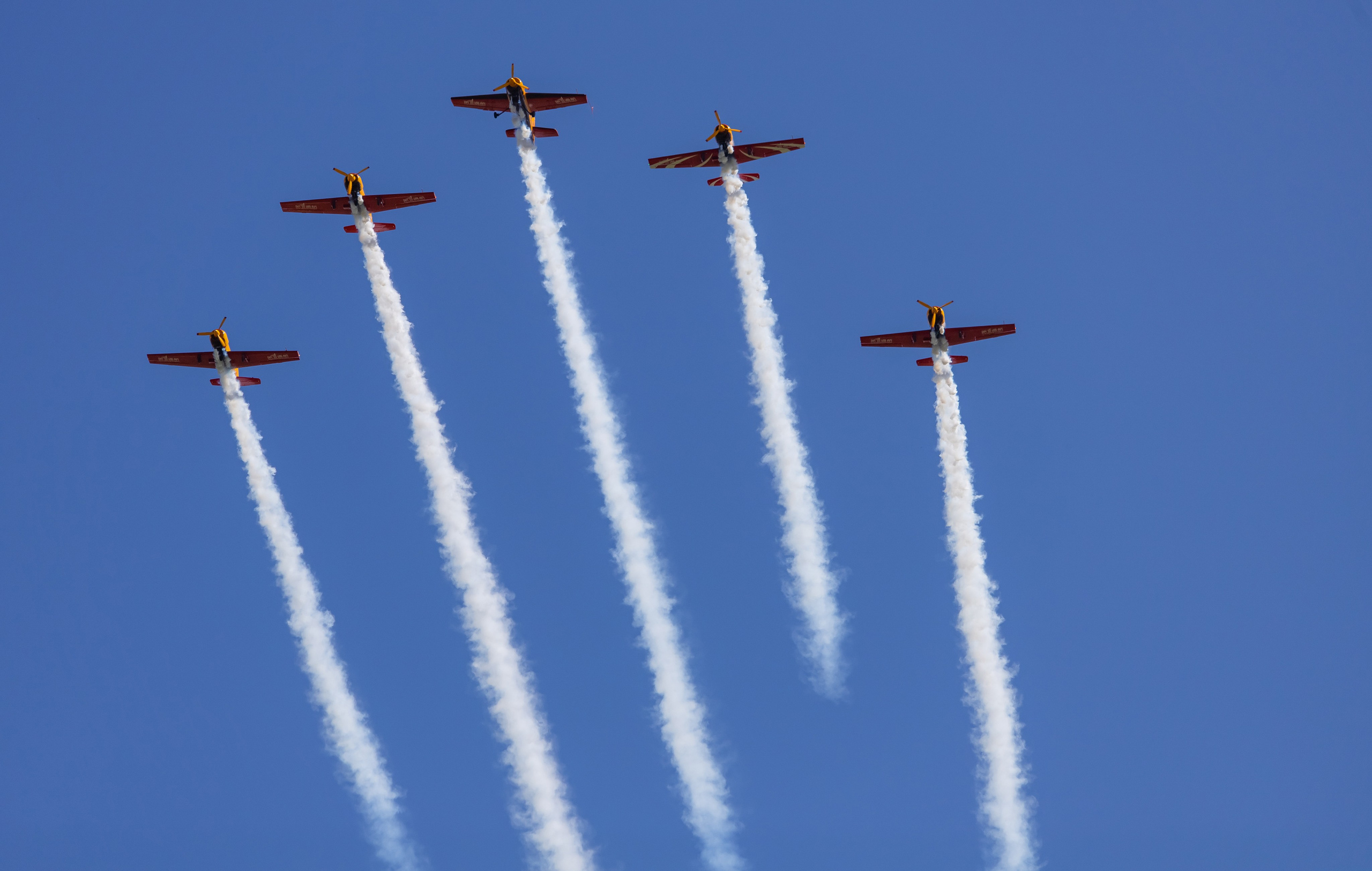 Крылья Пармы 2025 г. KATERINA VINOKUROVA ФОТОГРАФ ПЕРМЬ