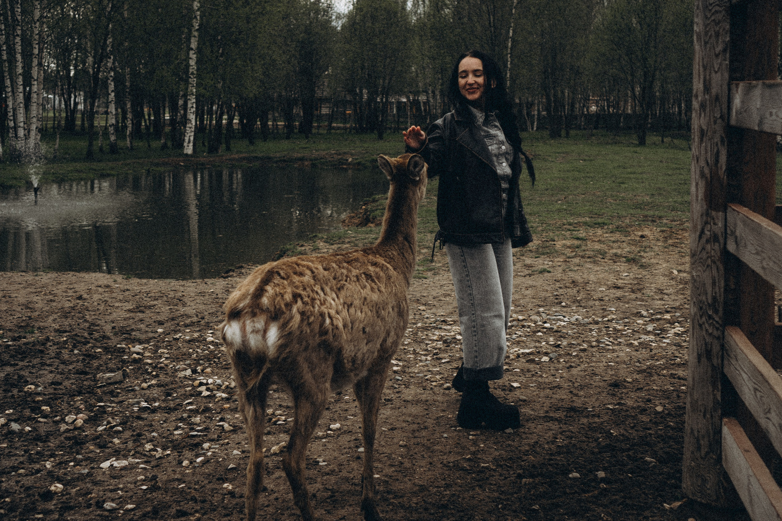 ОЛЕНЬЯ ФЕРМА В ТВЕРИ. Профессиональный фотограф, Санкт-Петербург — Виктория Богомолова