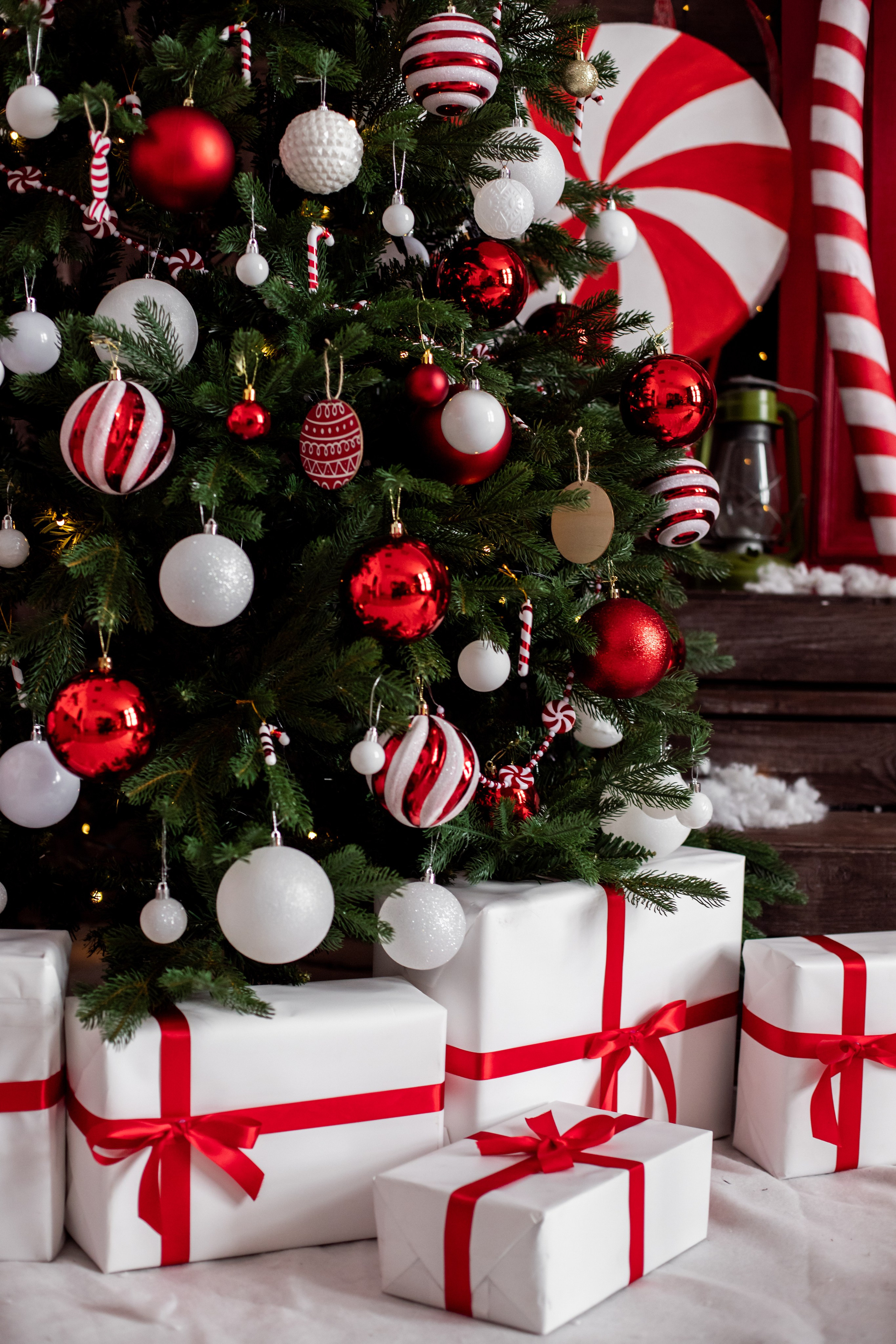 Буфет. Фотограф г. Хабаровск. Семейные и индивидуальные съёмки