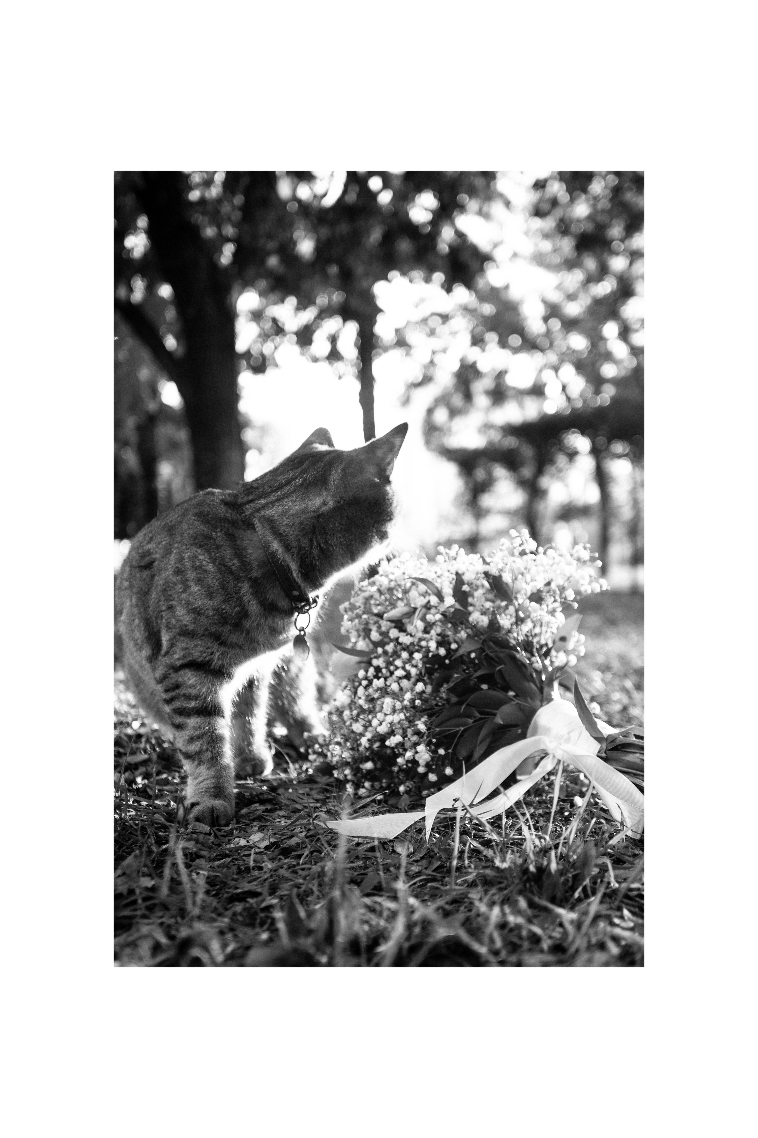 Nikita and Ksenia. СВАДЕБНЫЙ ФОТОГРАФ В МОСКВЕ ВИТАЛИЙ РУБЦОВ
