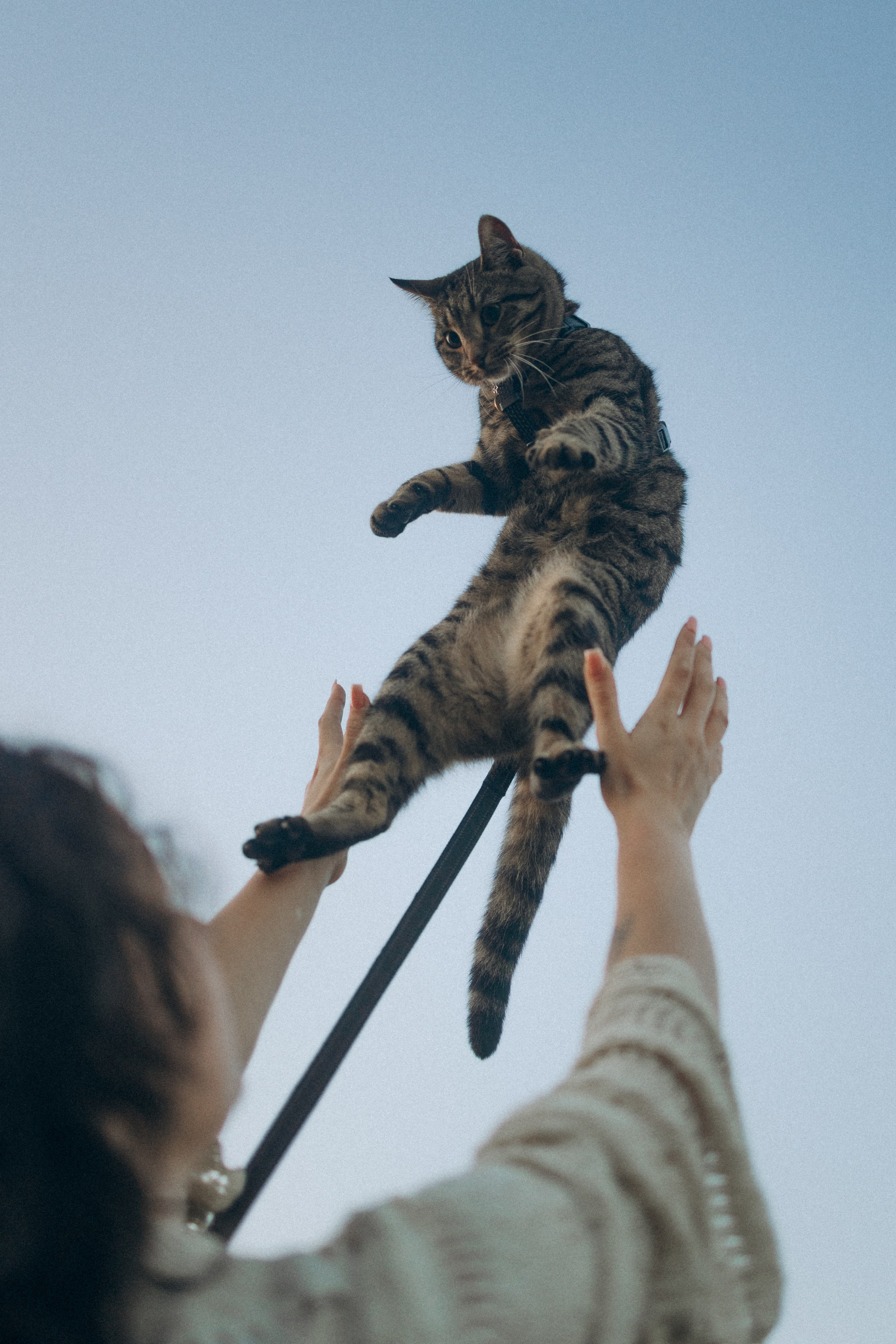 Настя и ее хвостики. Фотораф — анималист Мария Шистка