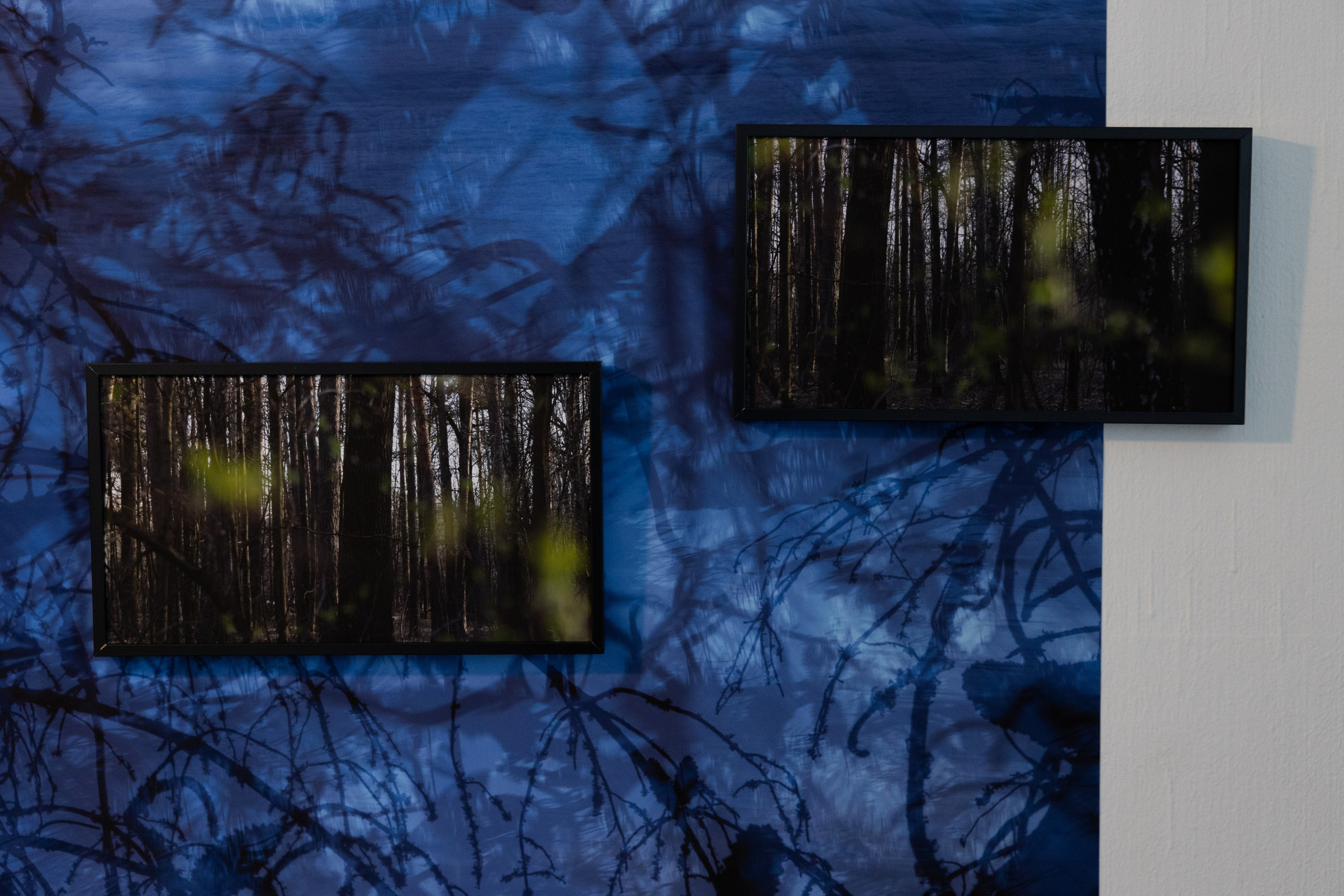 Personal exhibition Interior landscape 2025. Фотограф алина стерхова, алина стерхова фотограф, фотограф москва