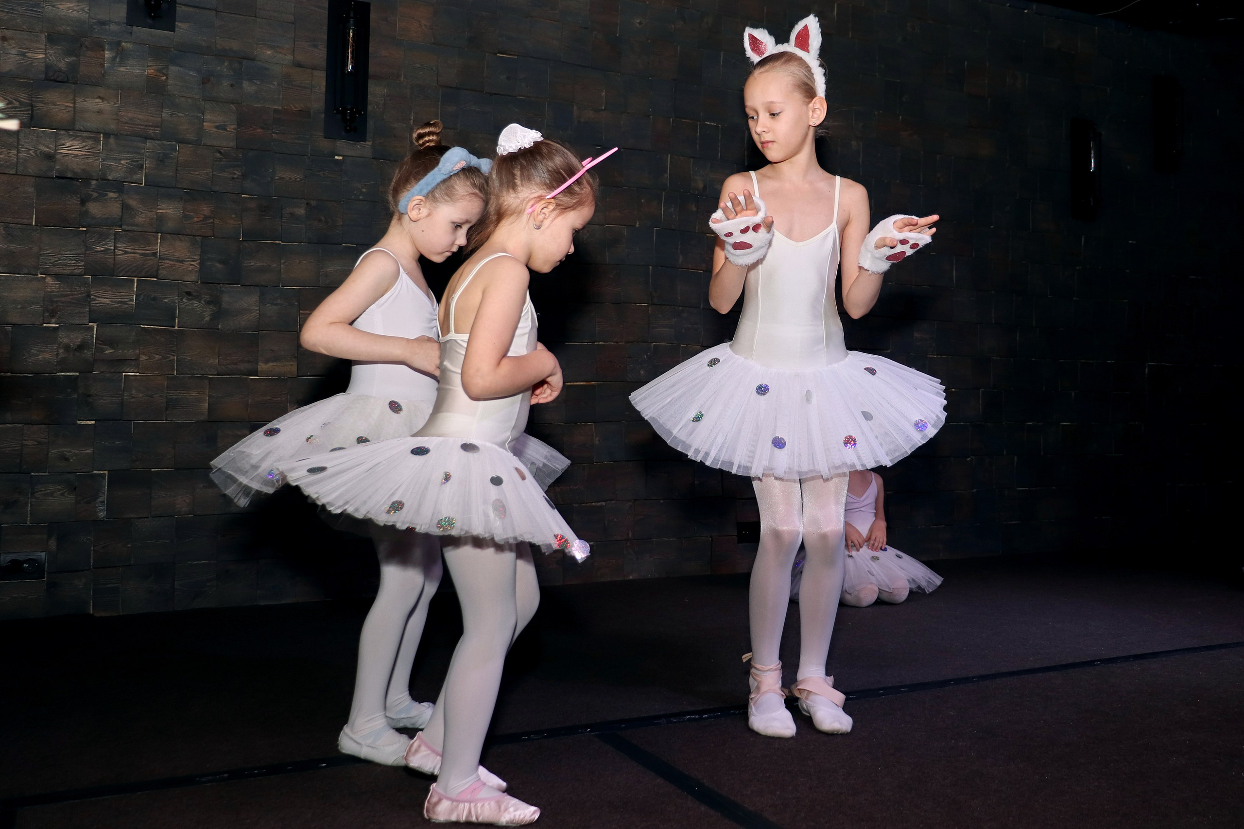 Балетная студия «Маленький лебедь». Фотограф Красноярск | Ховрин Иван | Свадьбы, Мероприятия, Фотосессии